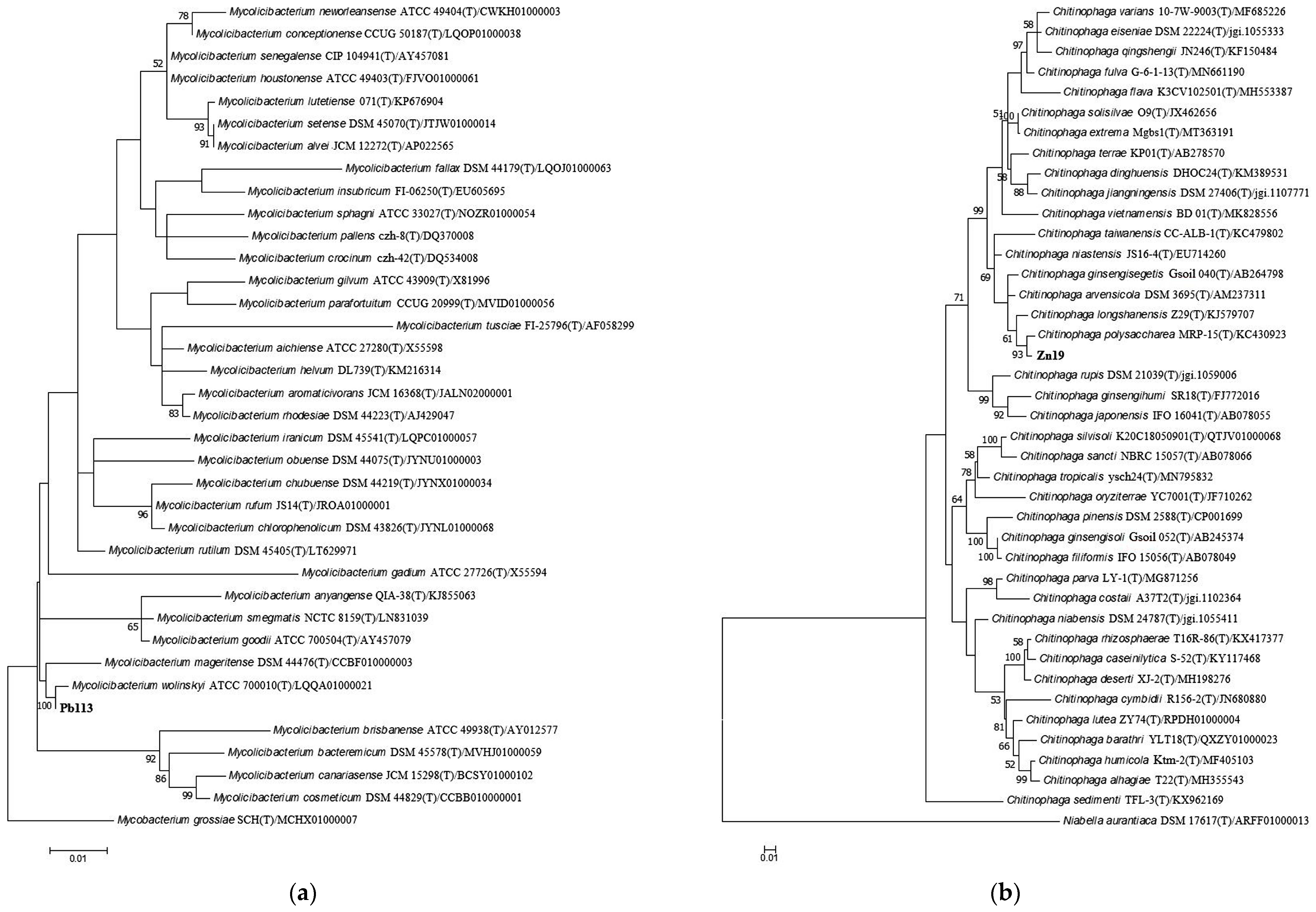 Microorganisms 11 01516 g001