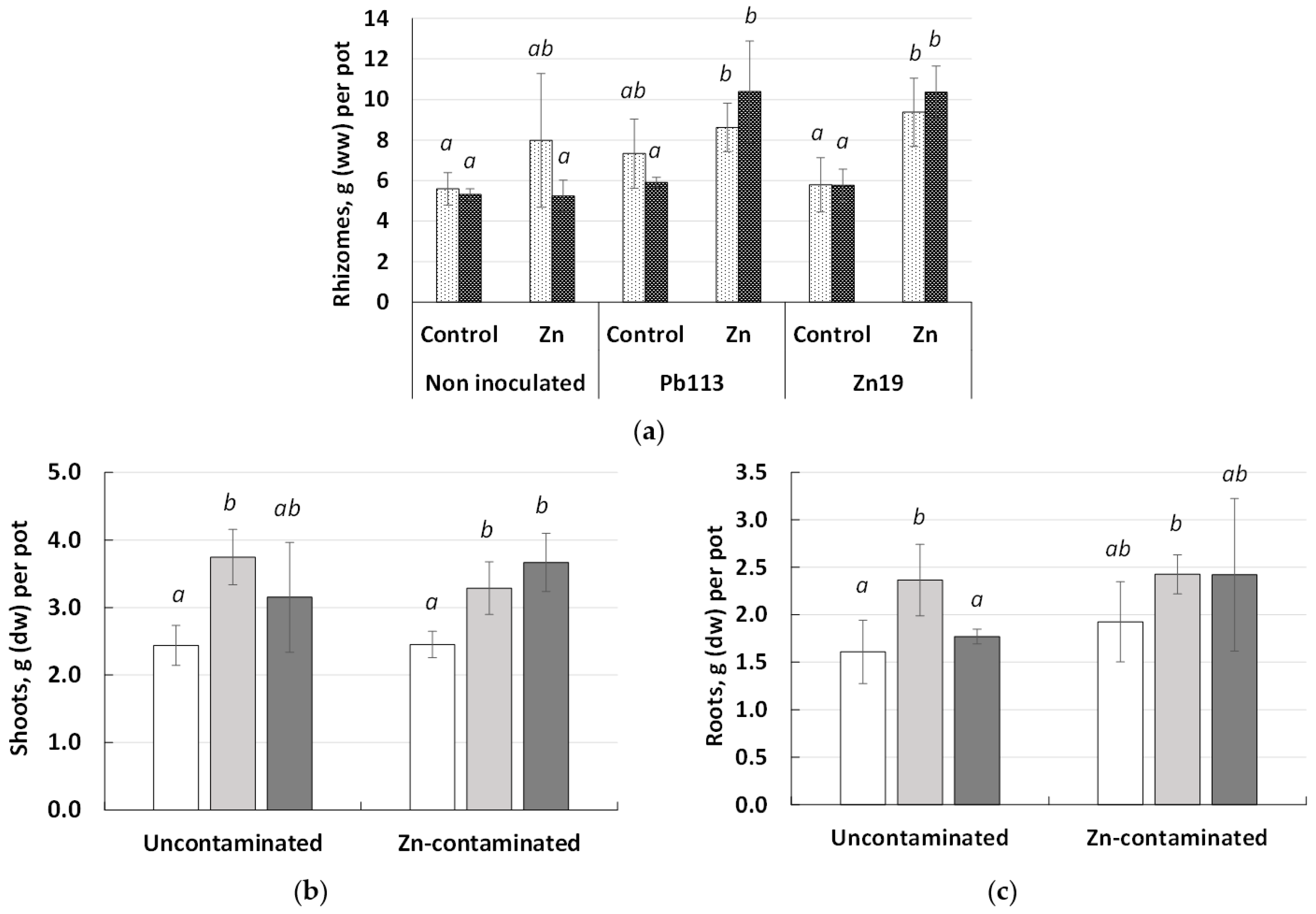 Microorganisms 11 01516 g003