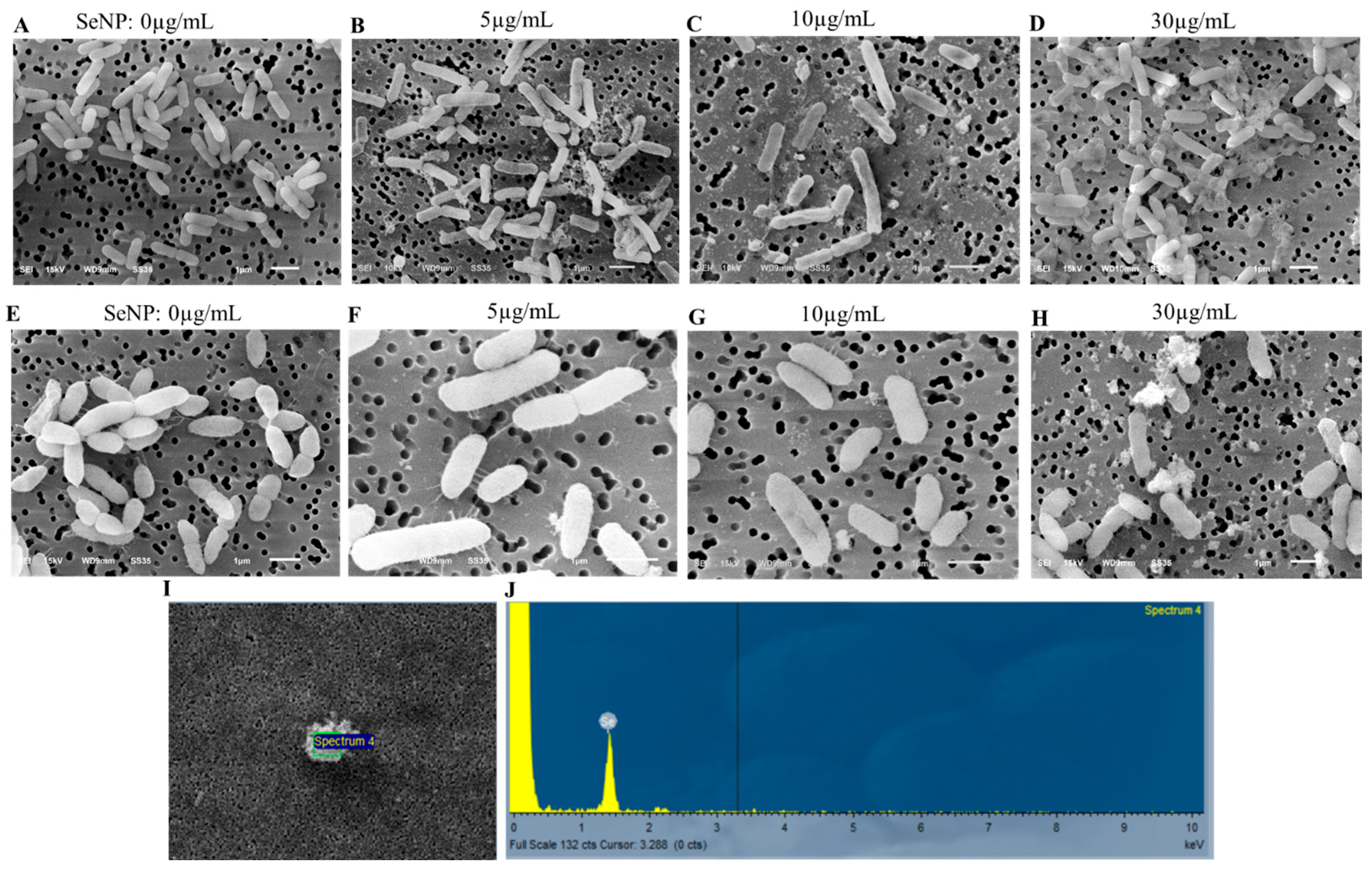 Microorganisms 11 01519 g005 Microorganisms 11 01519 g005