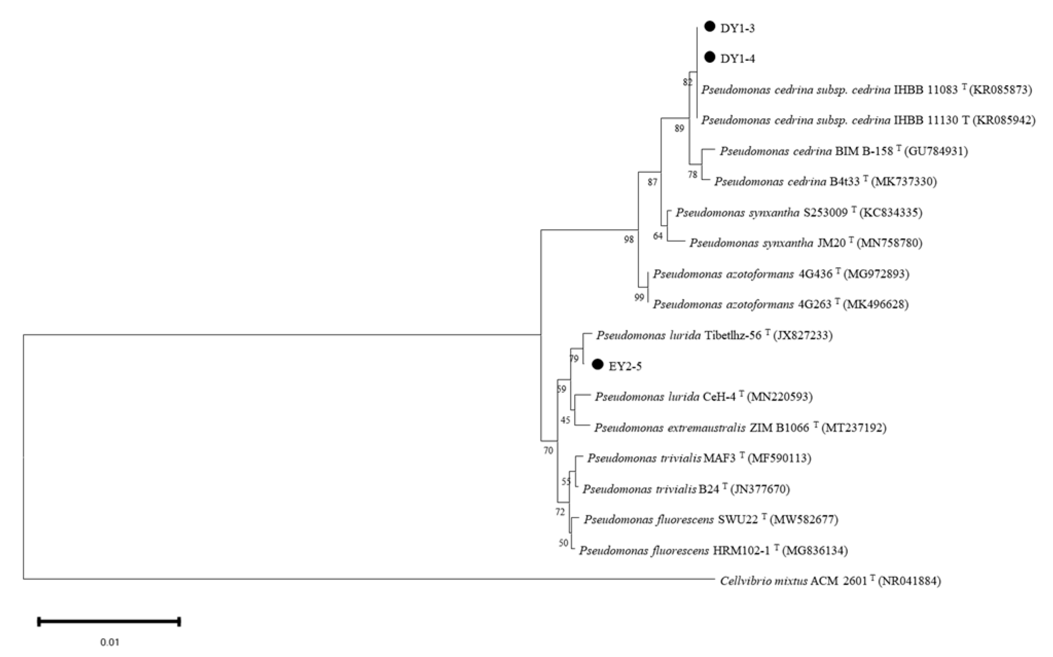 Microorganisms 11 01521 g008