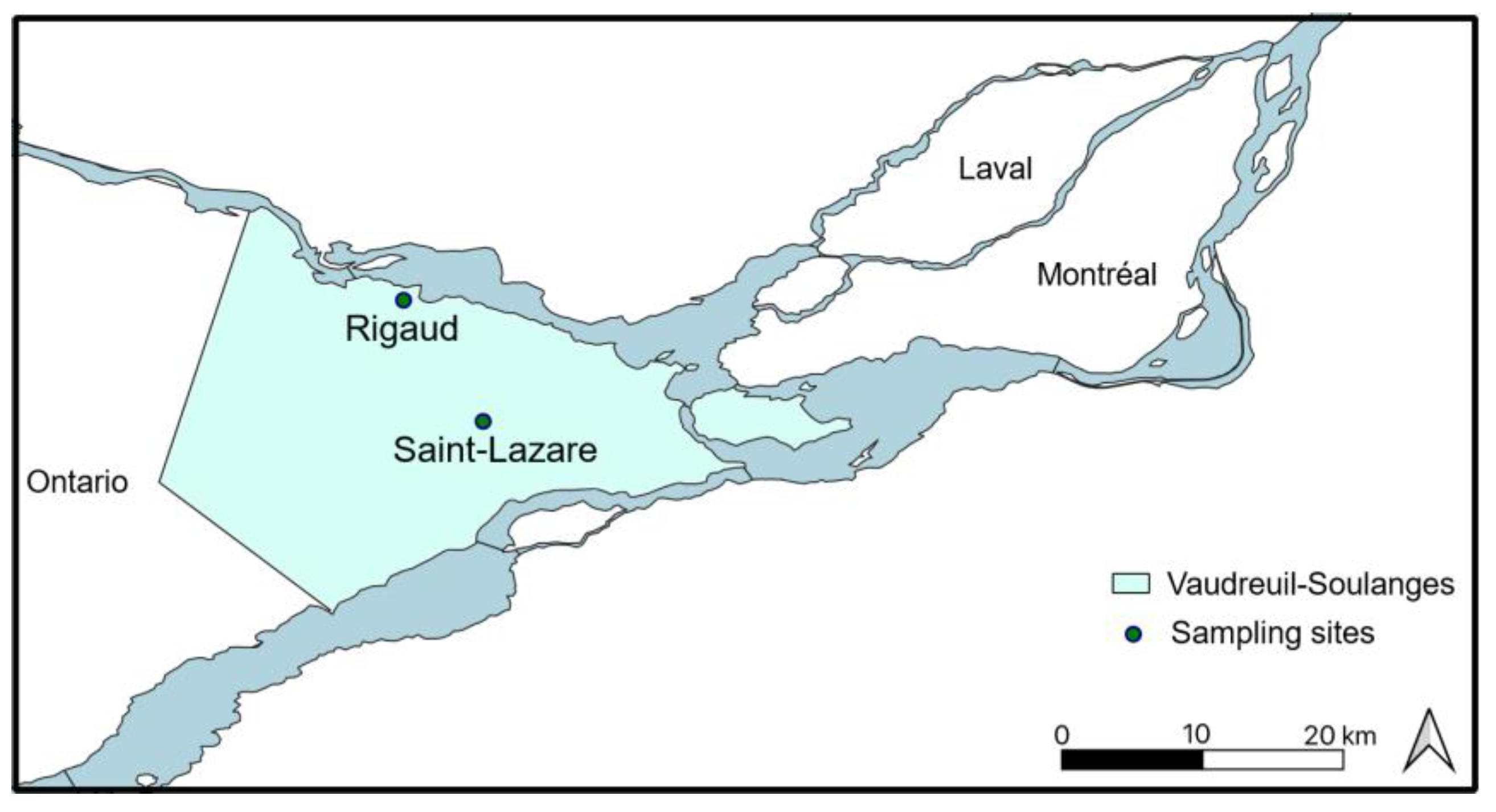 Microorganisms 11 01526 g001