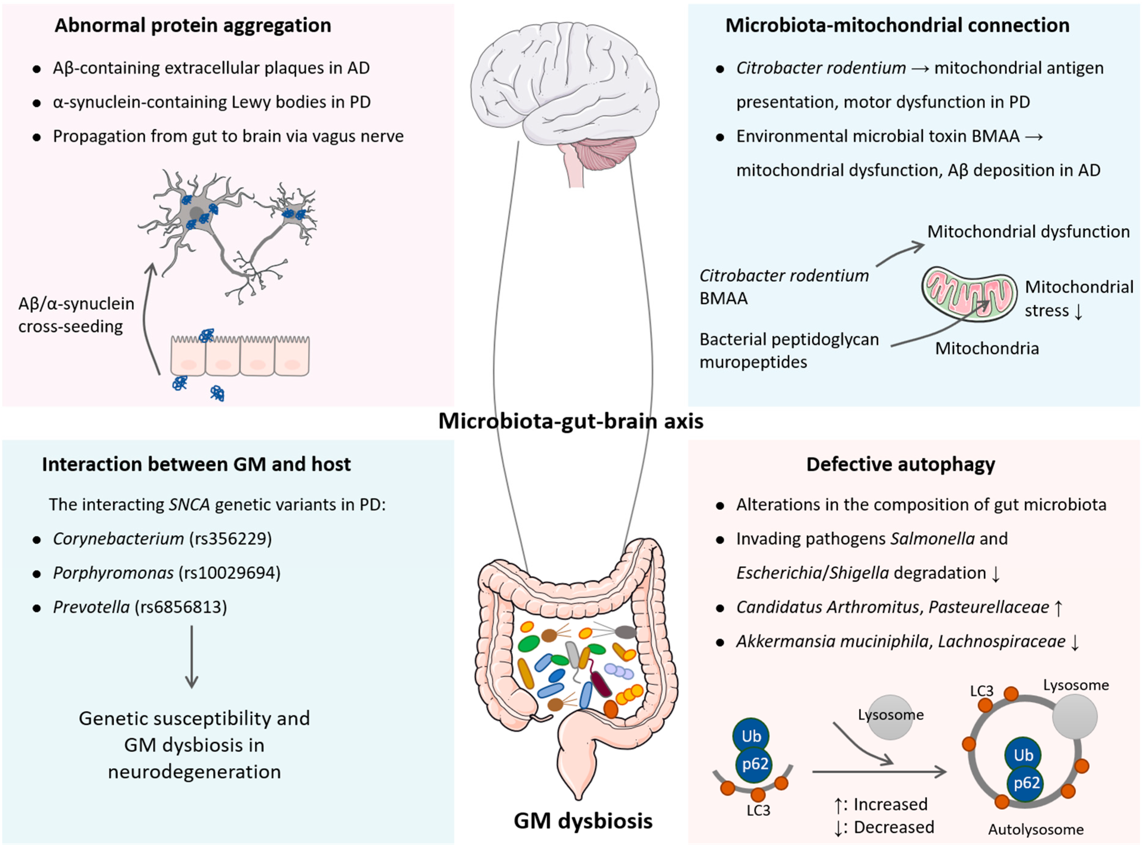 Microorganisms 11 01527 g001