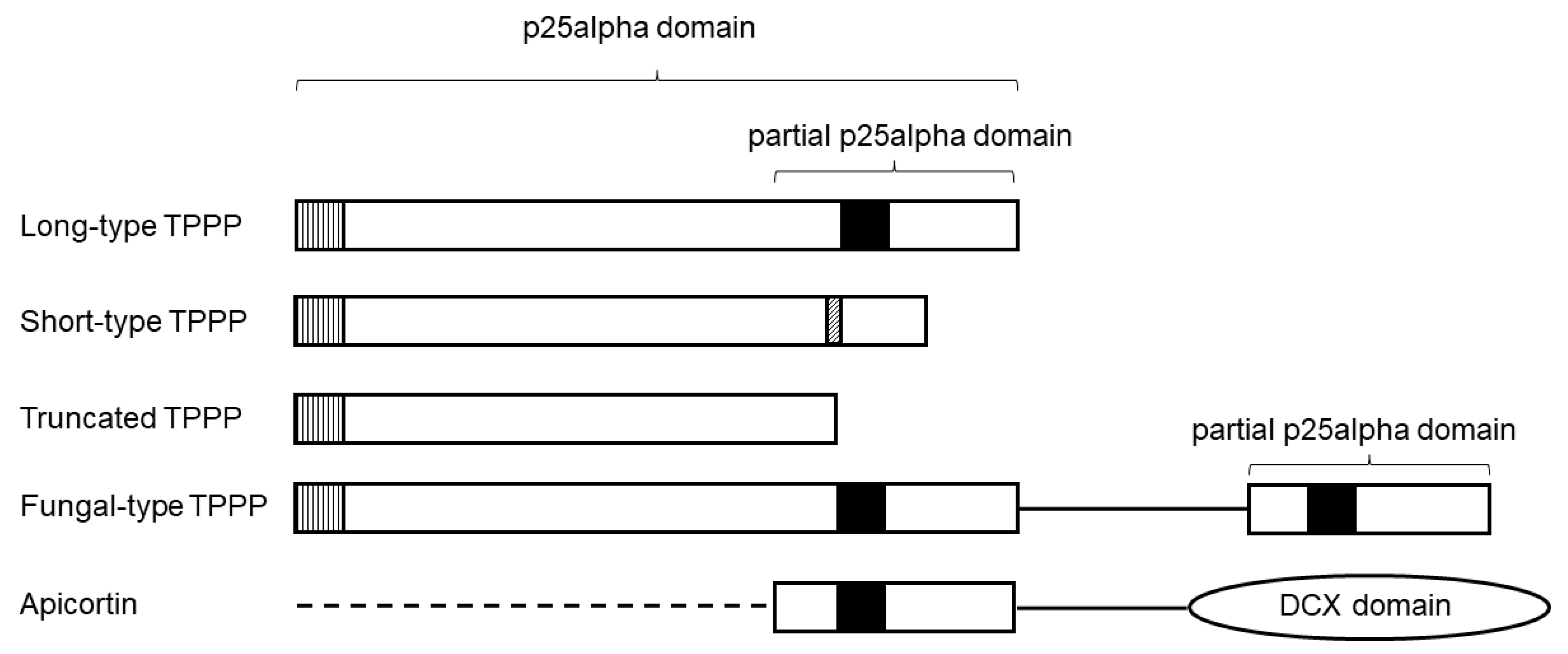 Microorganisms 11 01528 g001 Microorganisms 11 01528 g001