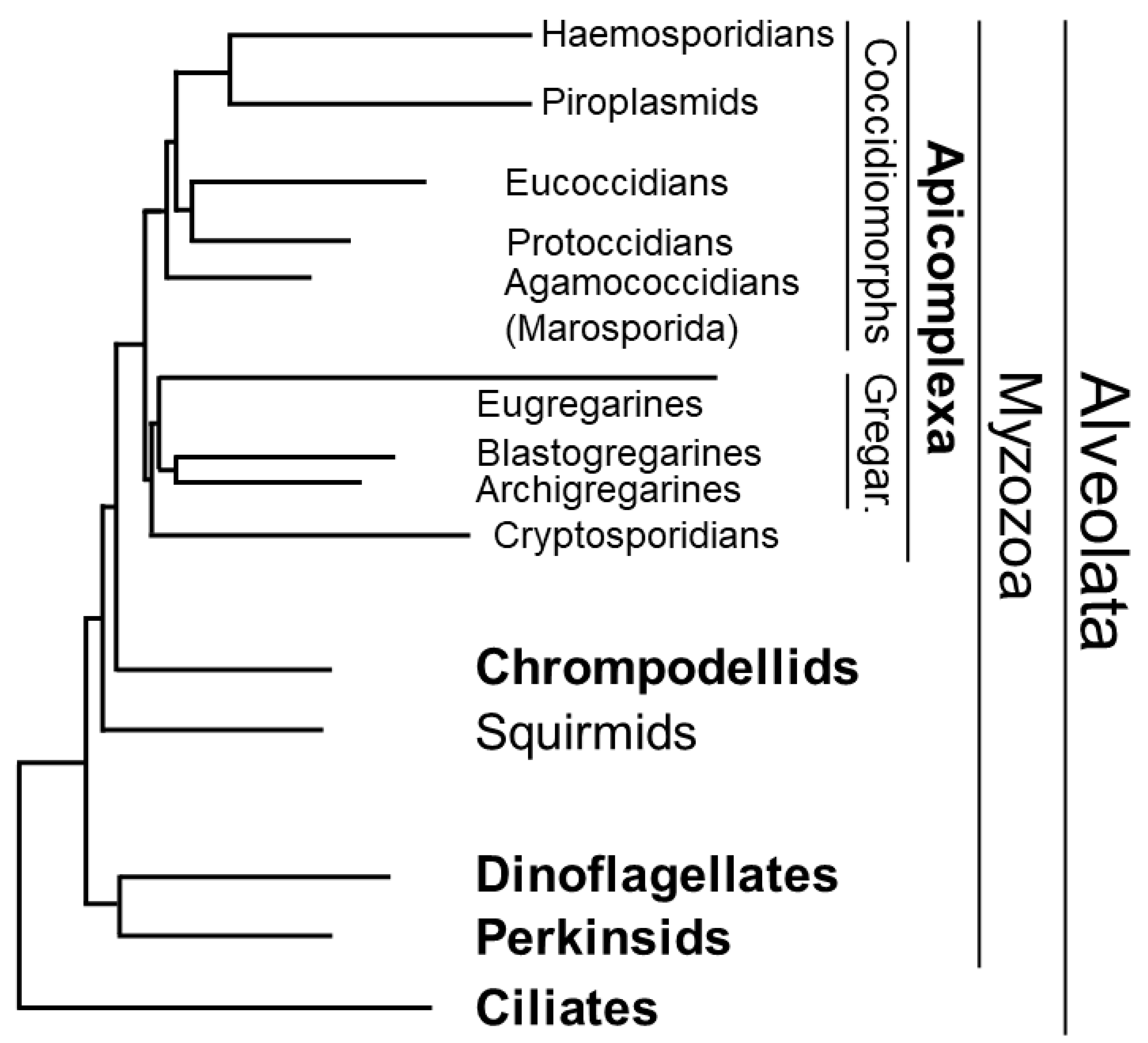 Microorganisms 11 01528 g002 Microorganisms 11 01528 g002