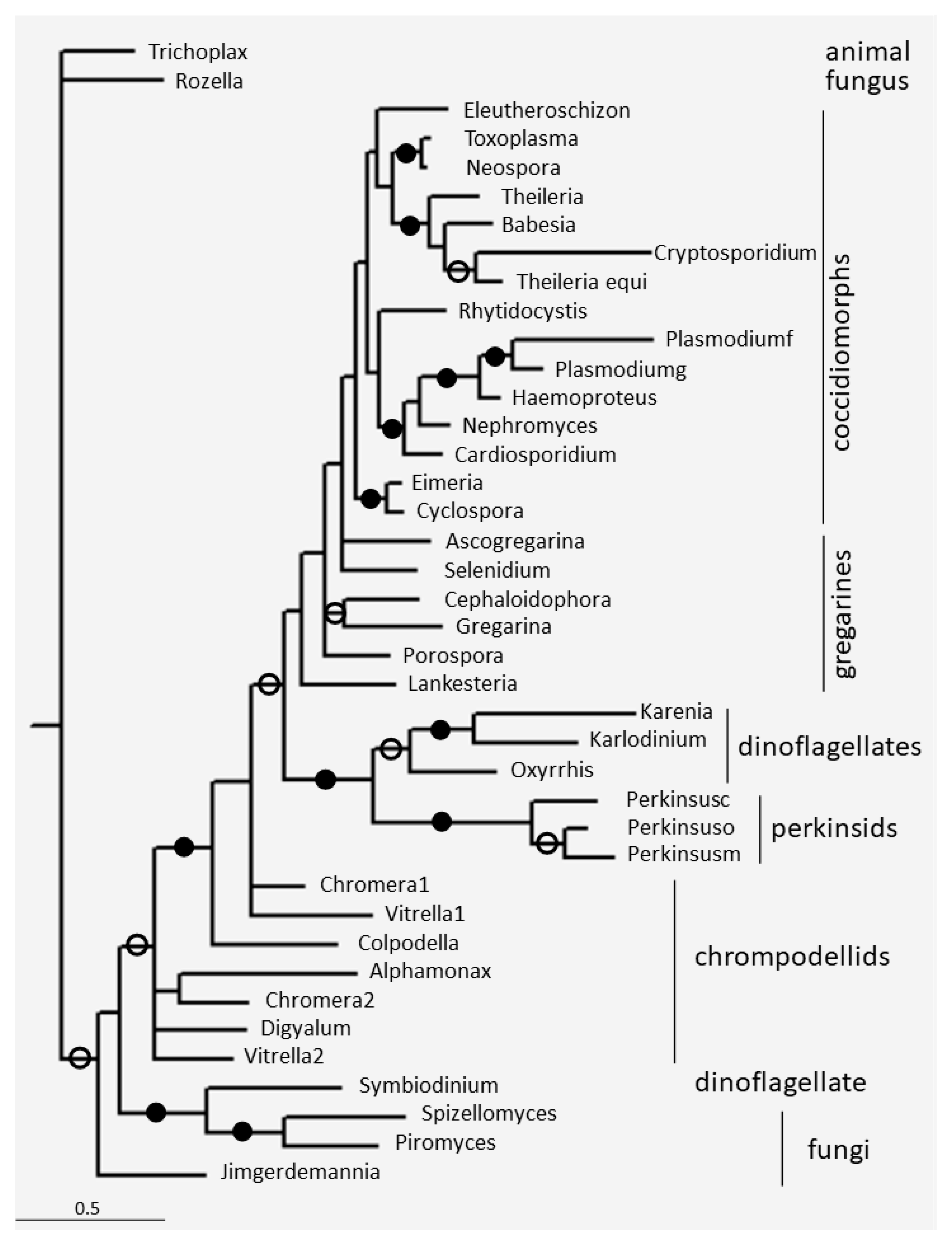 Microorganisms 11 01528 g003 Microorganisms 11 01528 g003