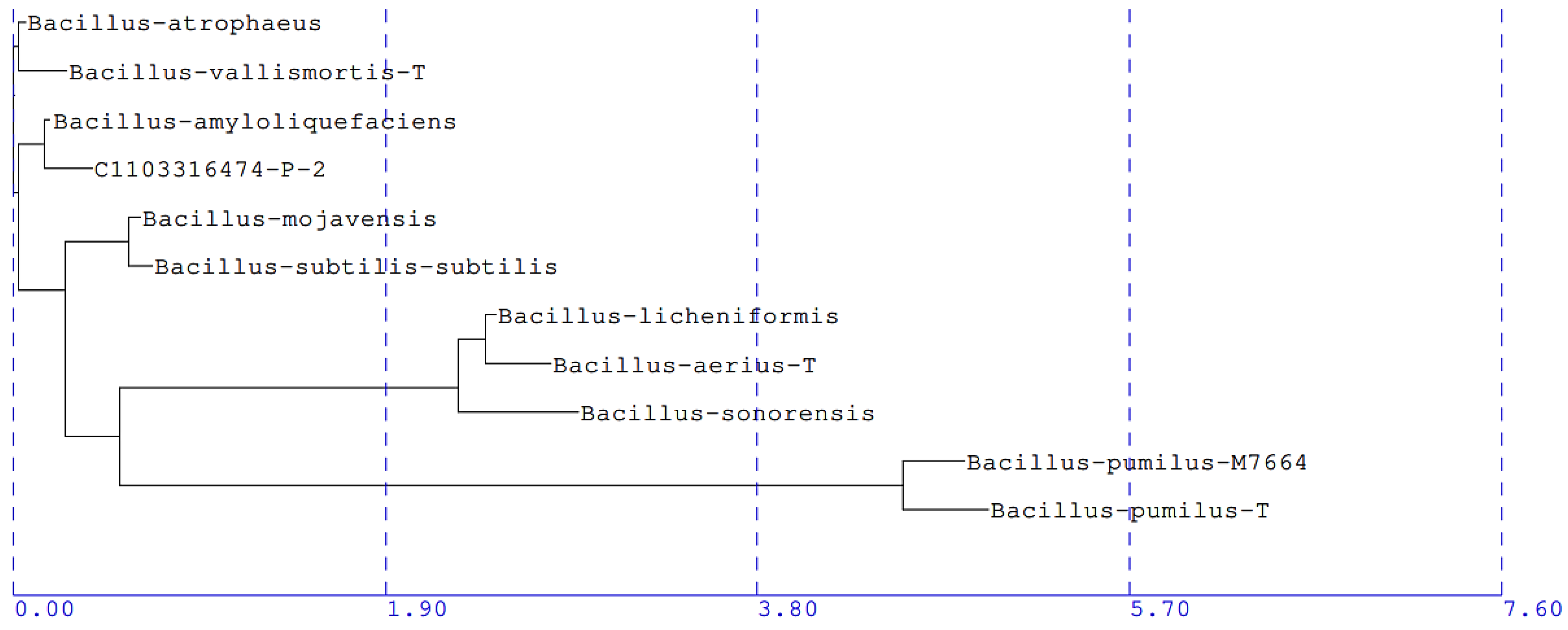 Microorganisms 11 01529 g005