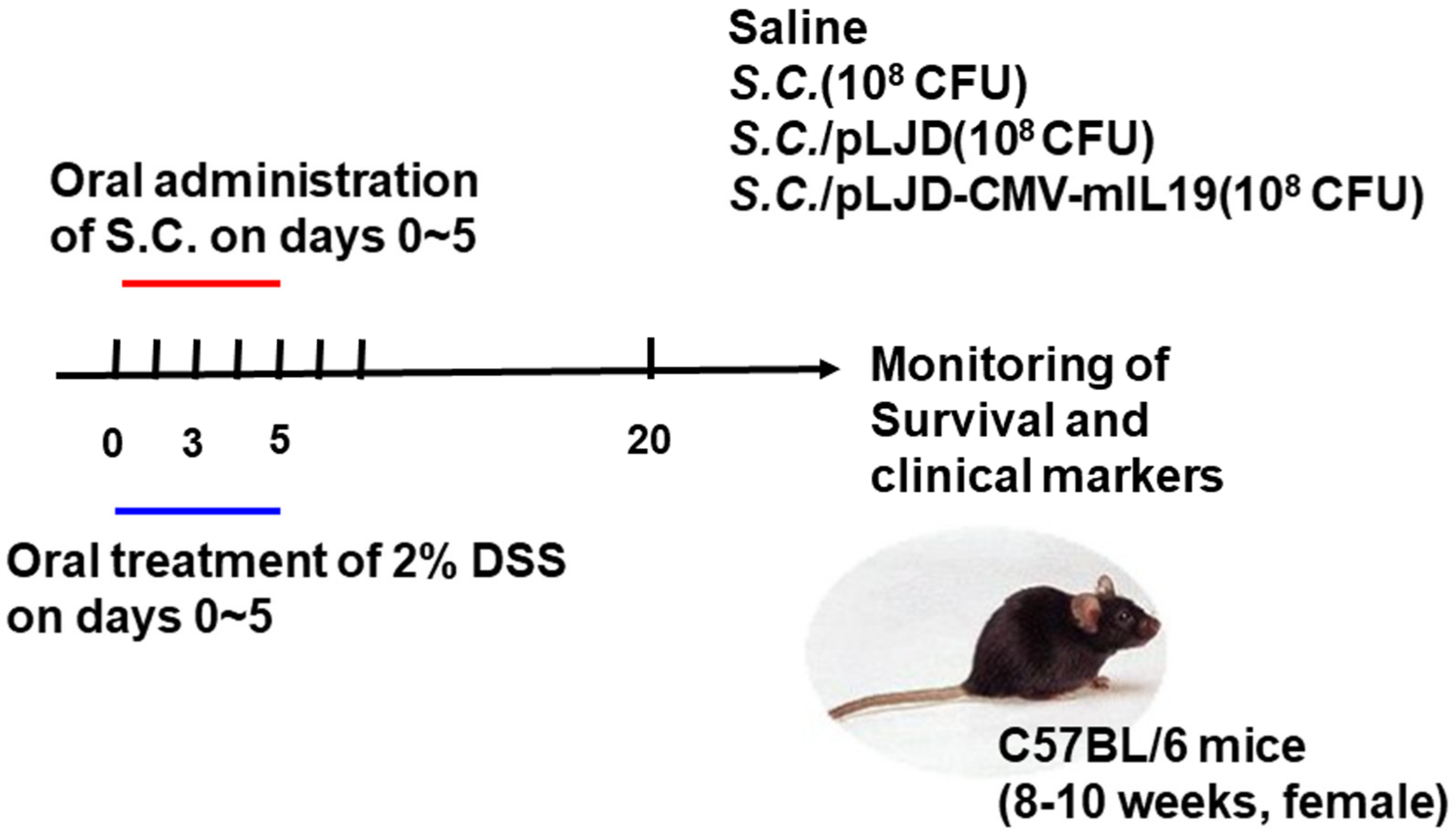 Microorganisms 11 01530 g001