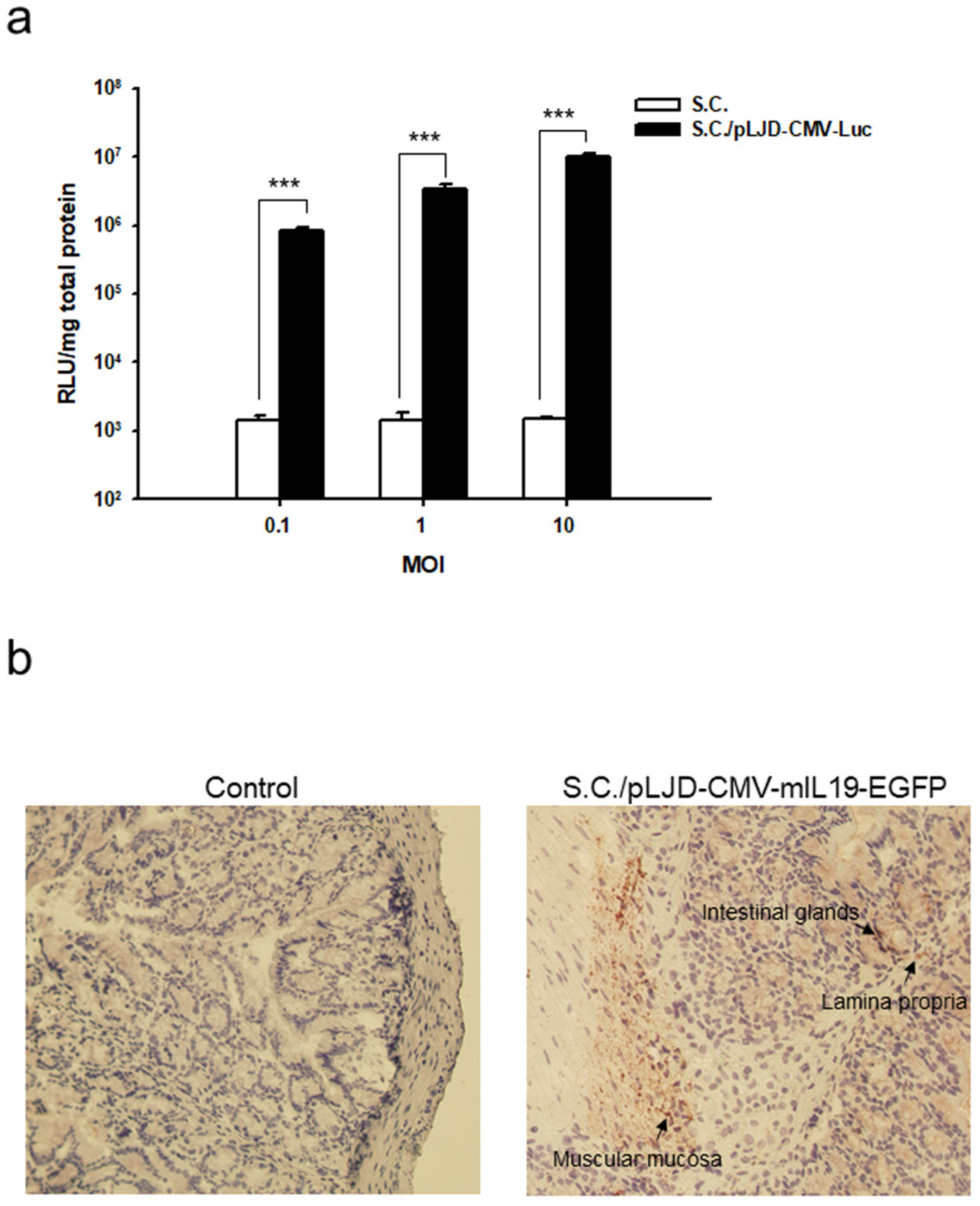 Microorganisms 11 01530 g002