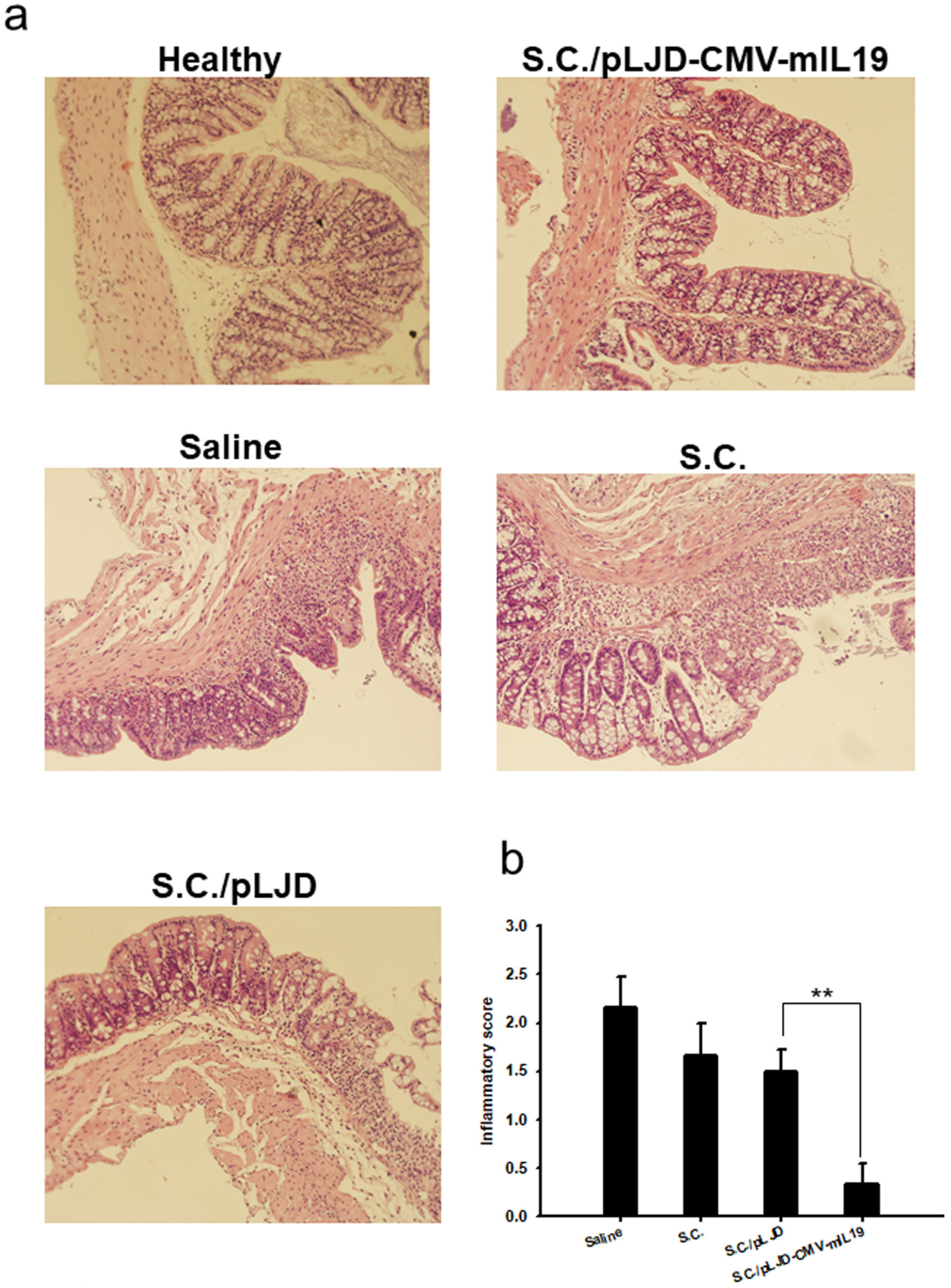 Microorganisms 11 01530 g006