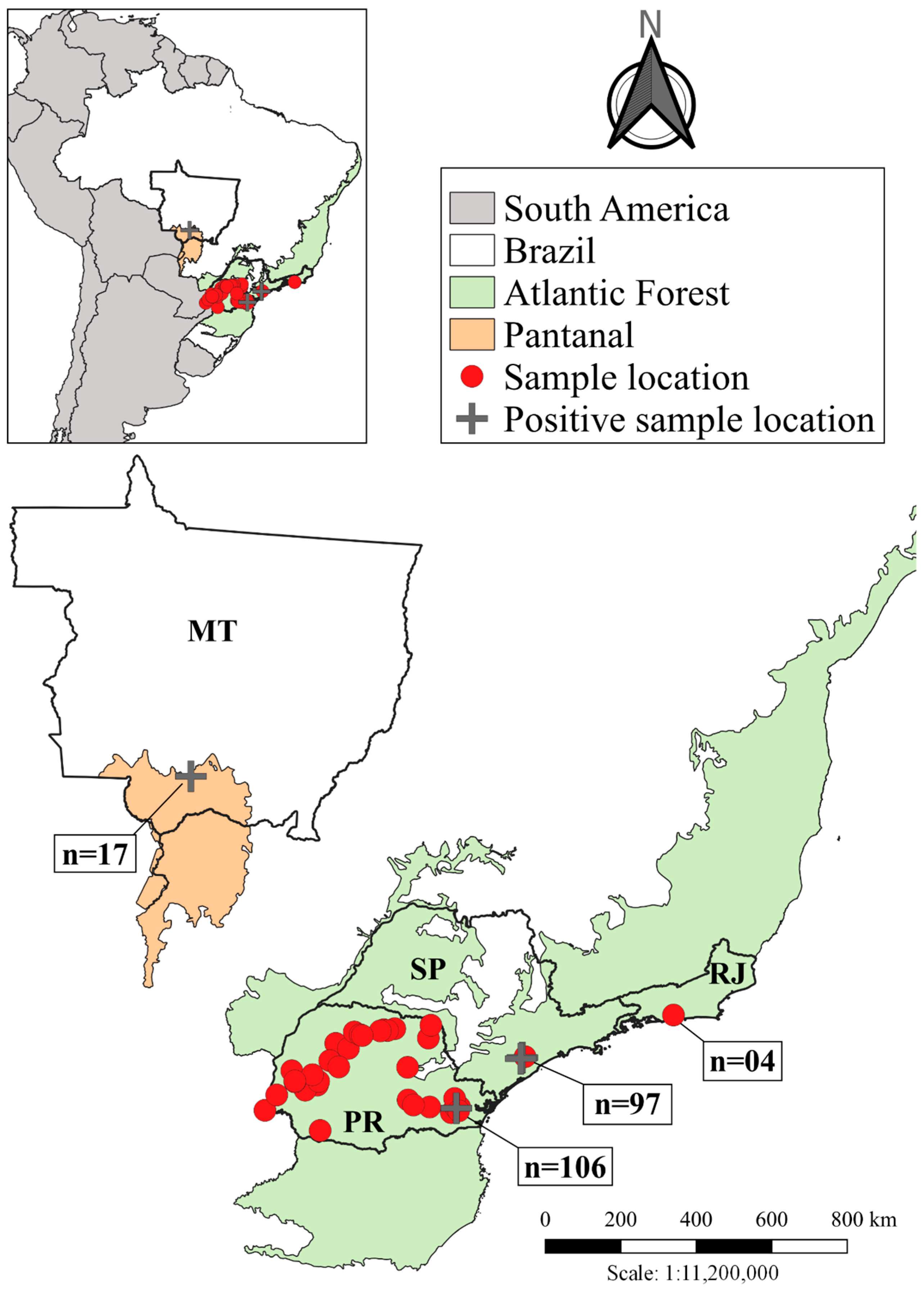 Microorganisms 11 01531 g001