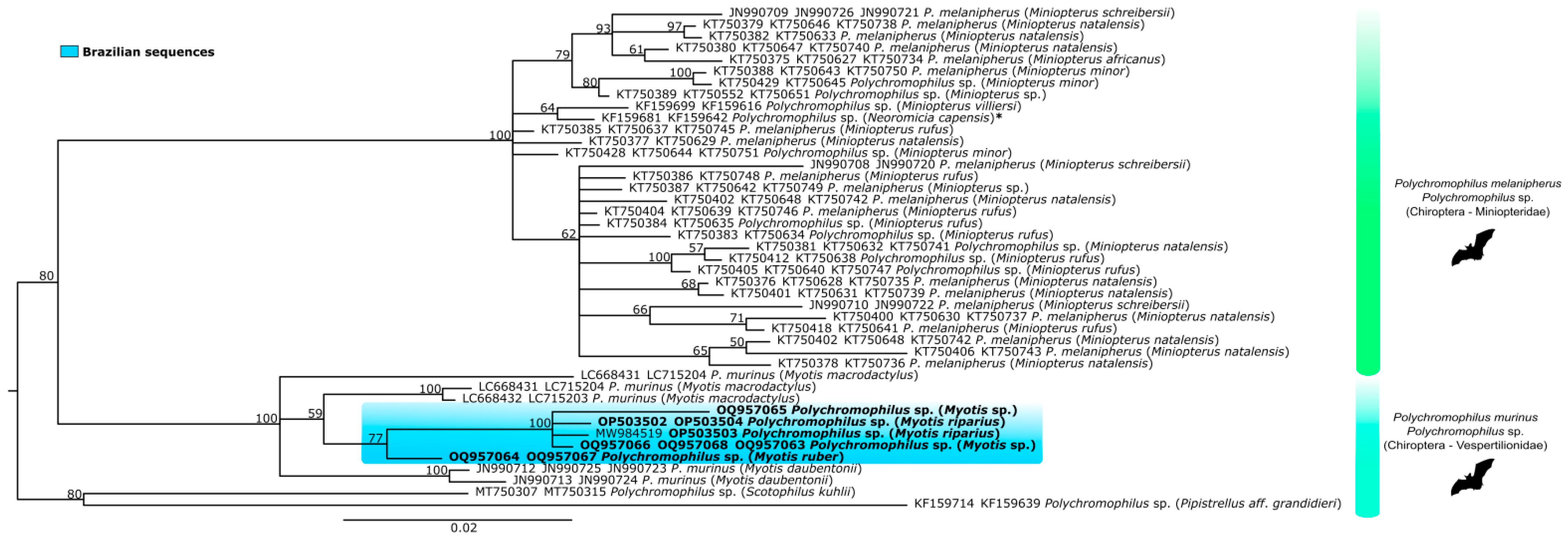 Microorganisms 11 01531 g003
