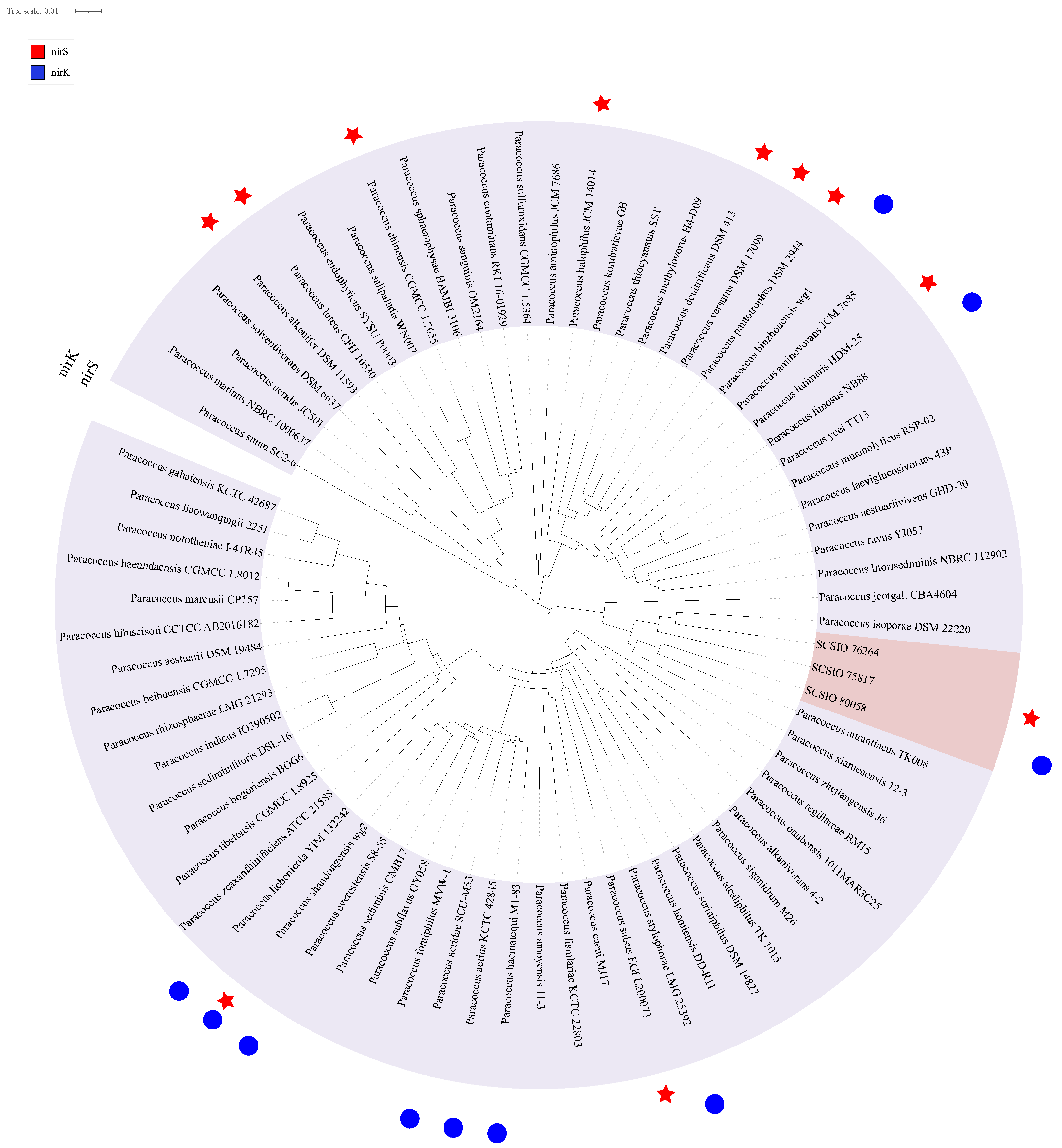 Microorganisms 11 01532 g004