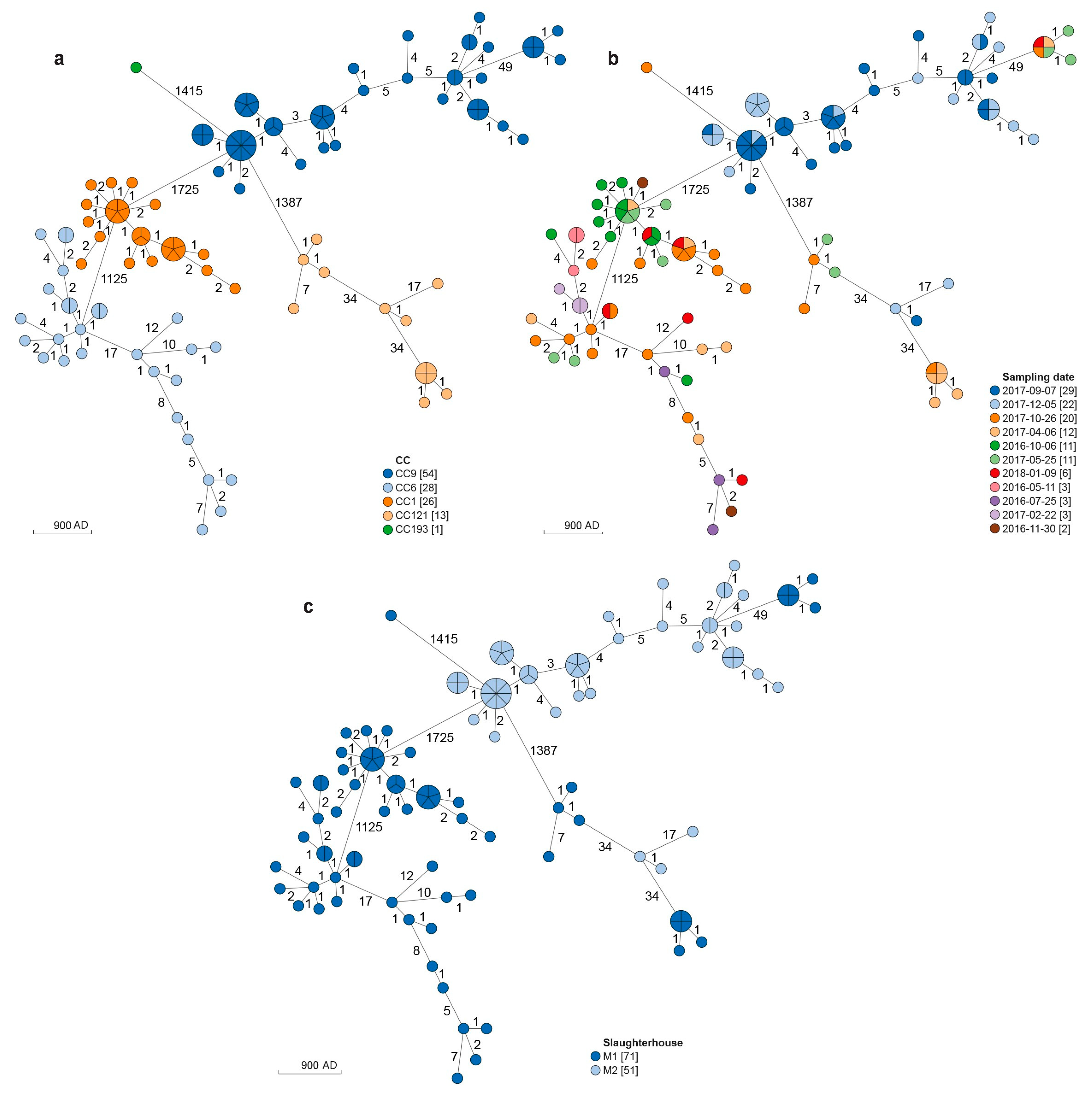 Microorganisms 11 01543 g001
