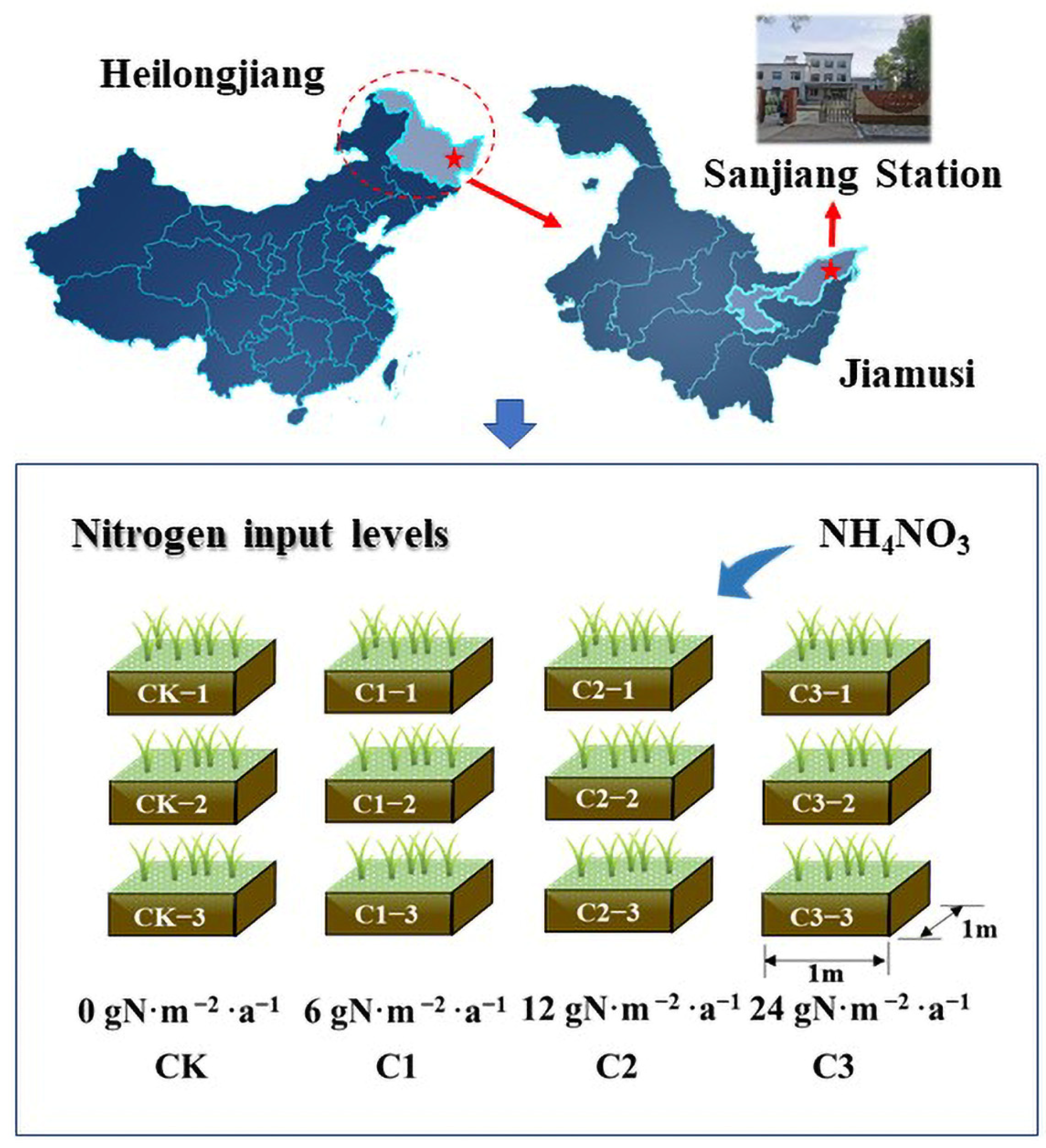 Microorganisms 11 01552 g001