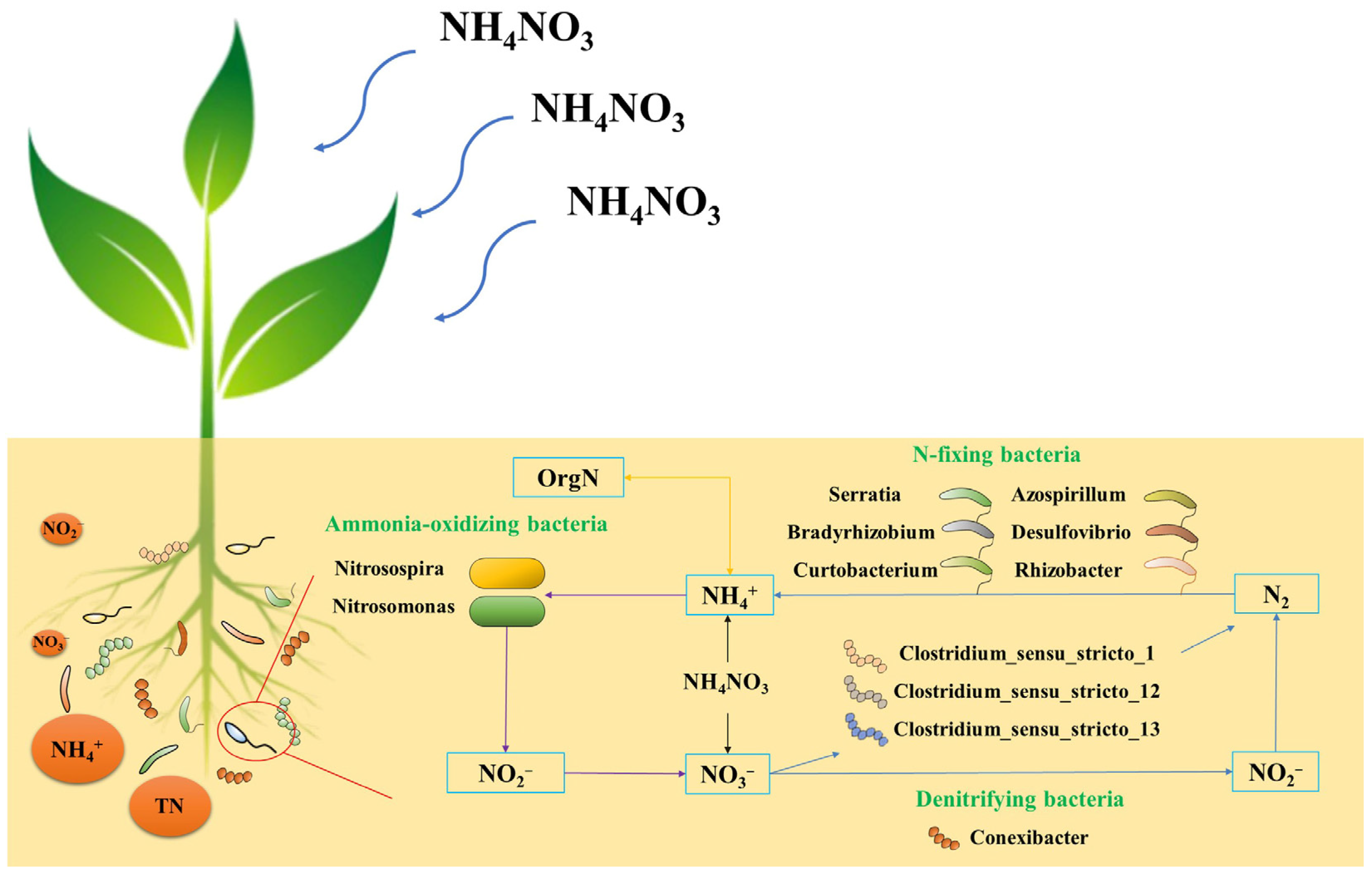 Microorganisms 11 01552 g006
