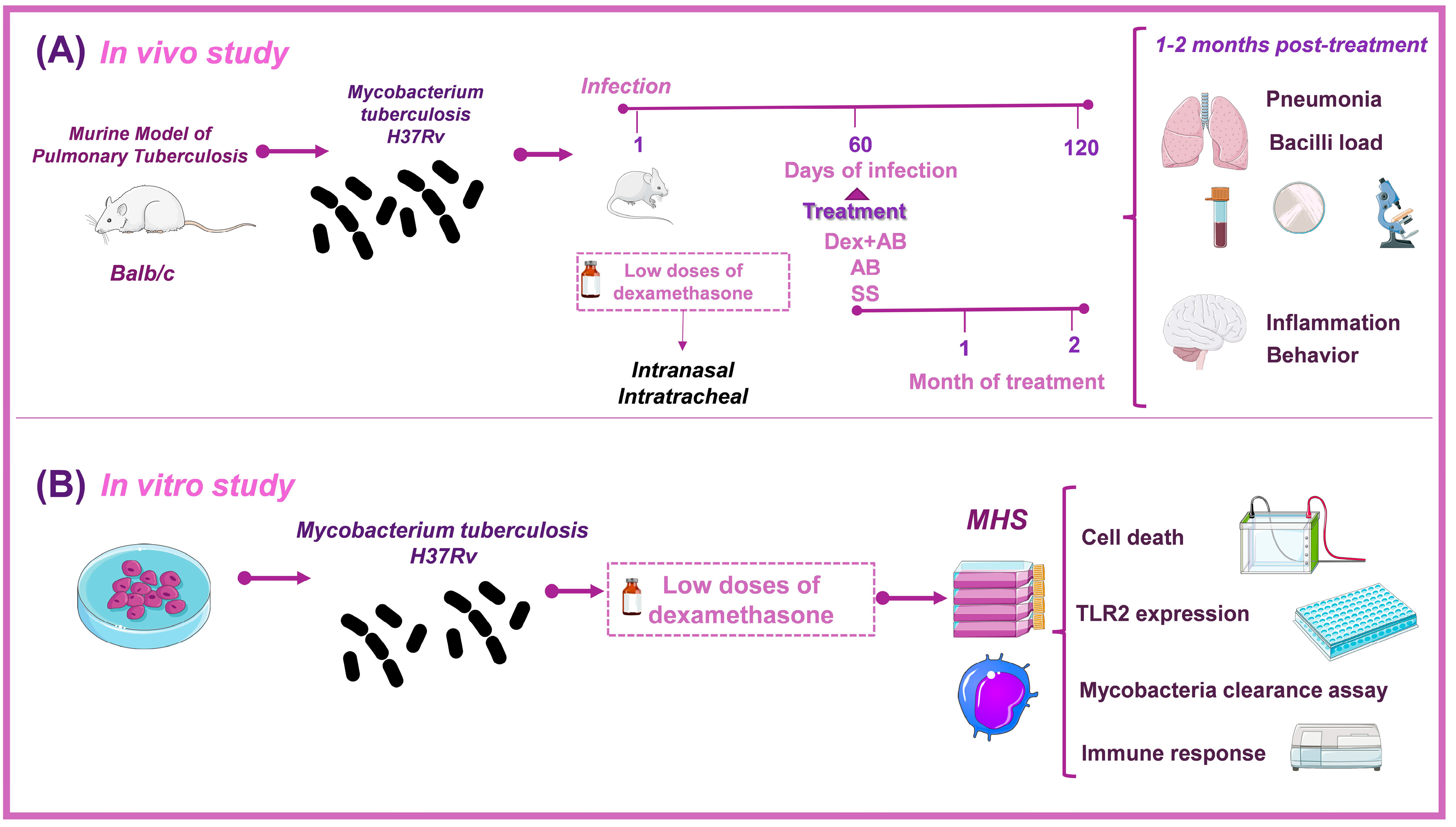 Microorganisms 11 01554 g001 Microorganisms 11 01554 g001