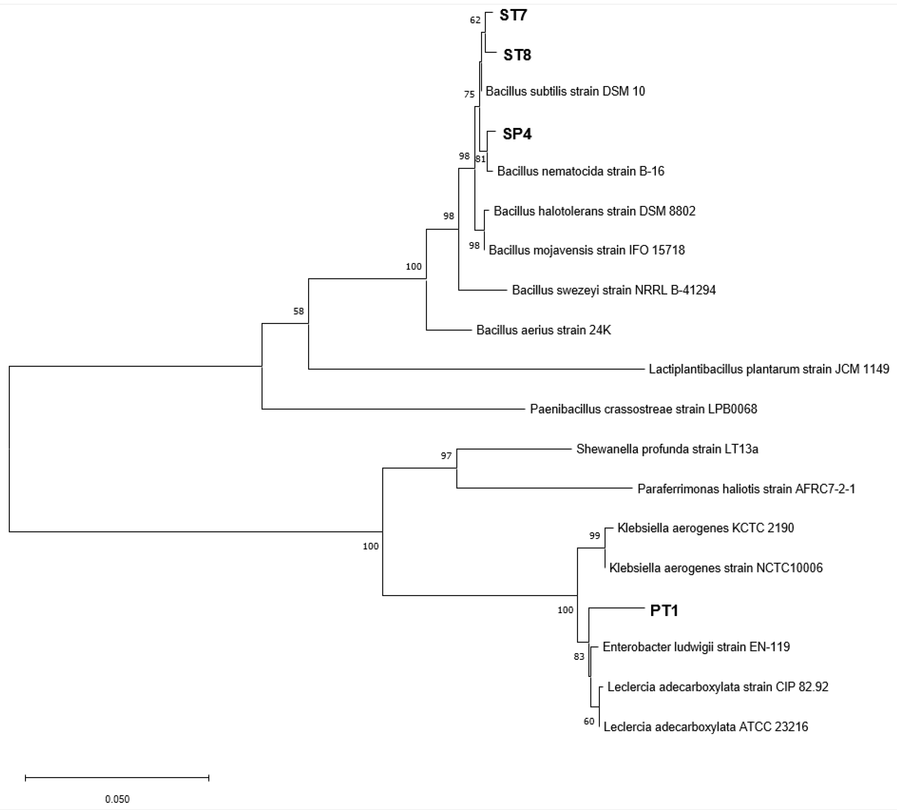 Microorganisms 11 01555 g001