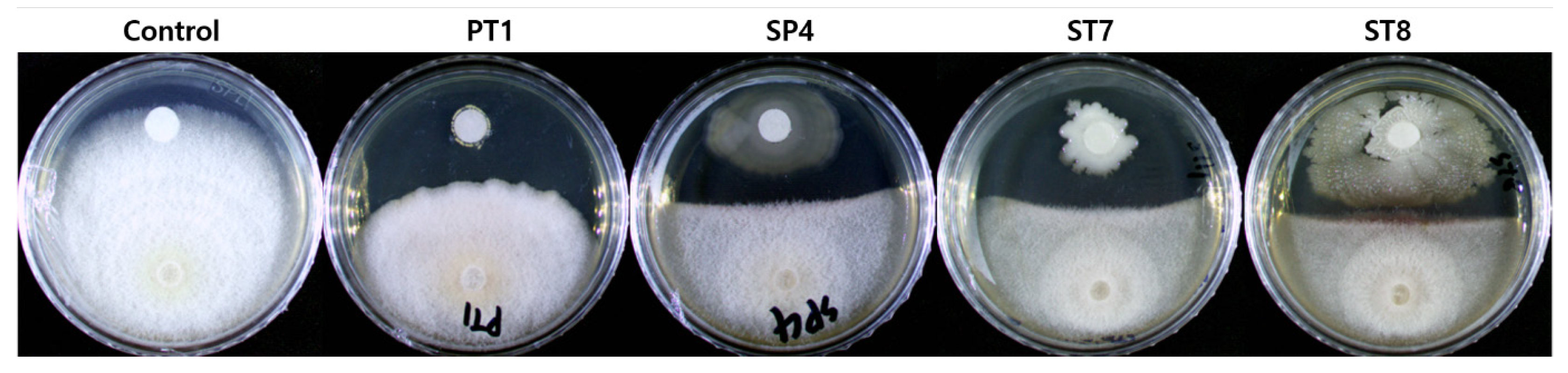 Microorganisms 11 01555 g002
