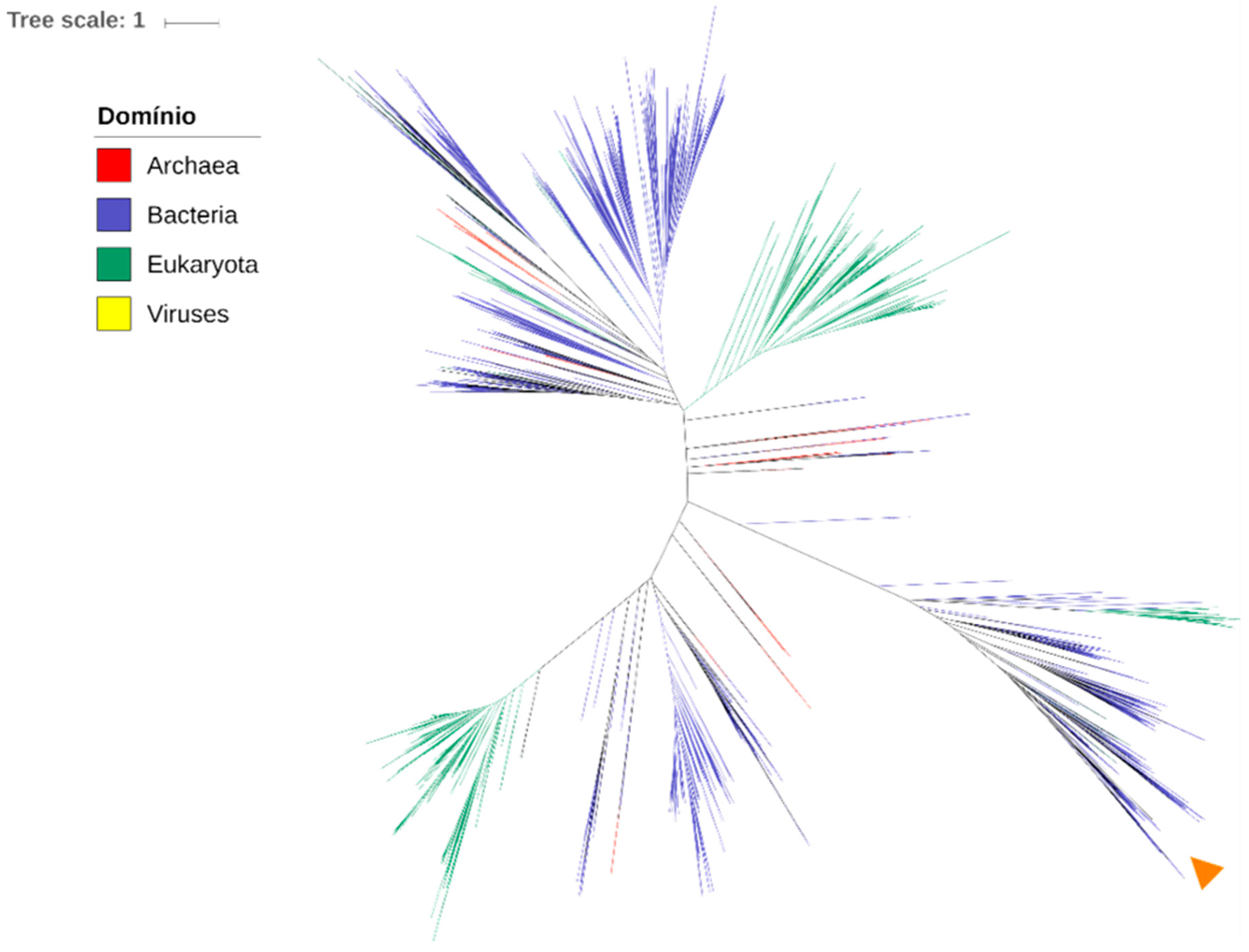 Microorganisms 11 01558 g001