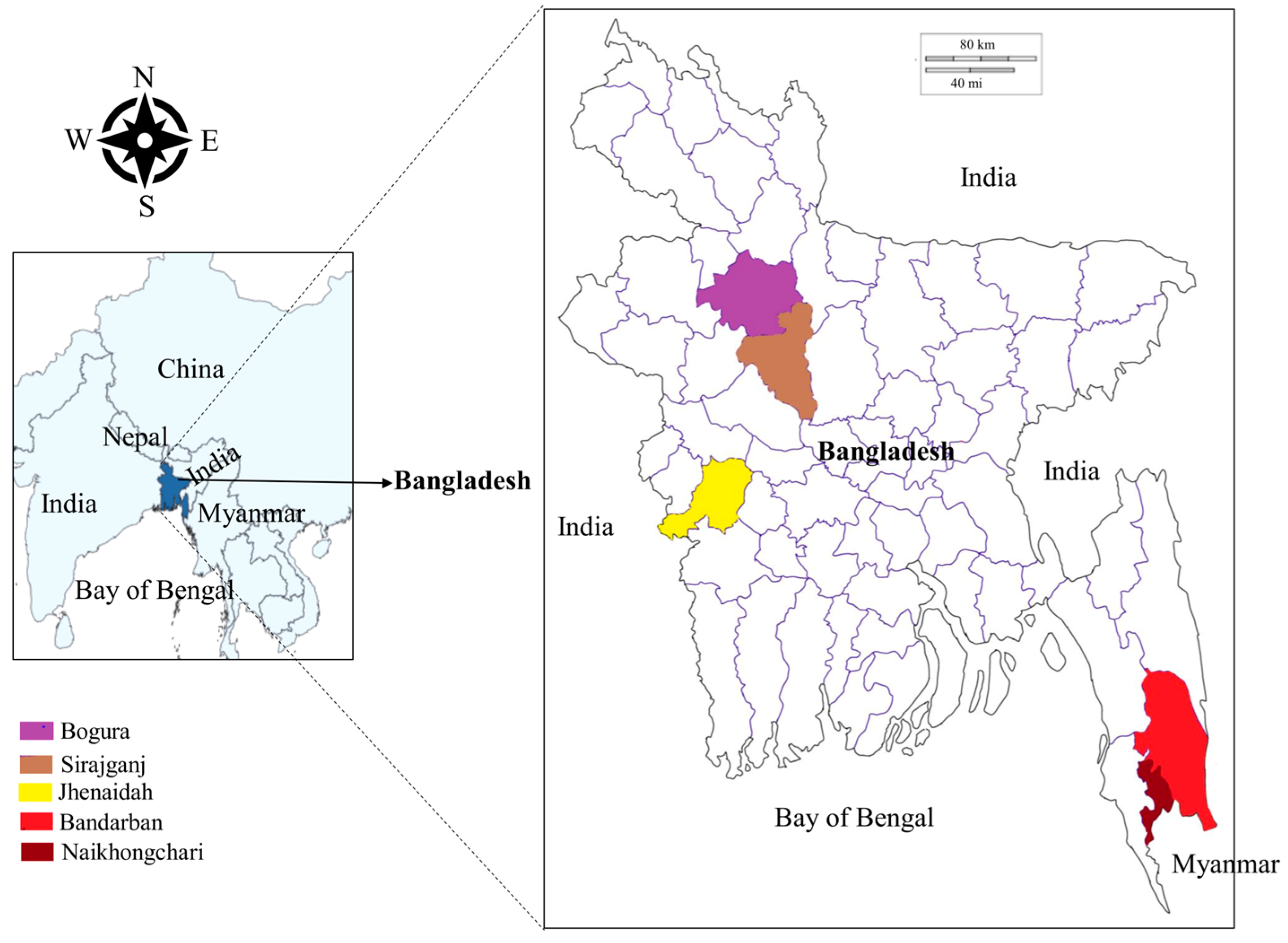 Microorganisms 11 01563 g001