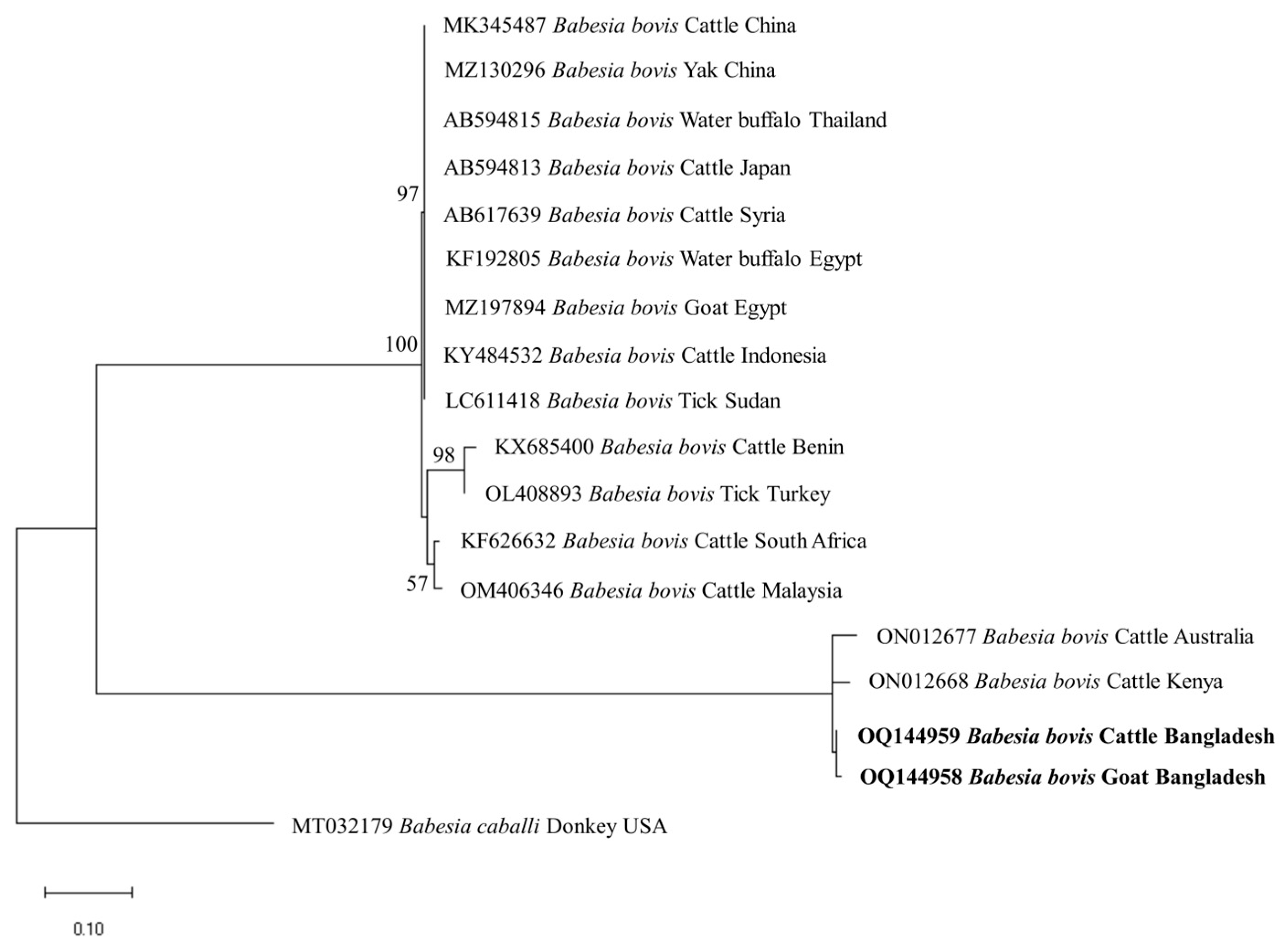 Microorganisms 11 01563 g003