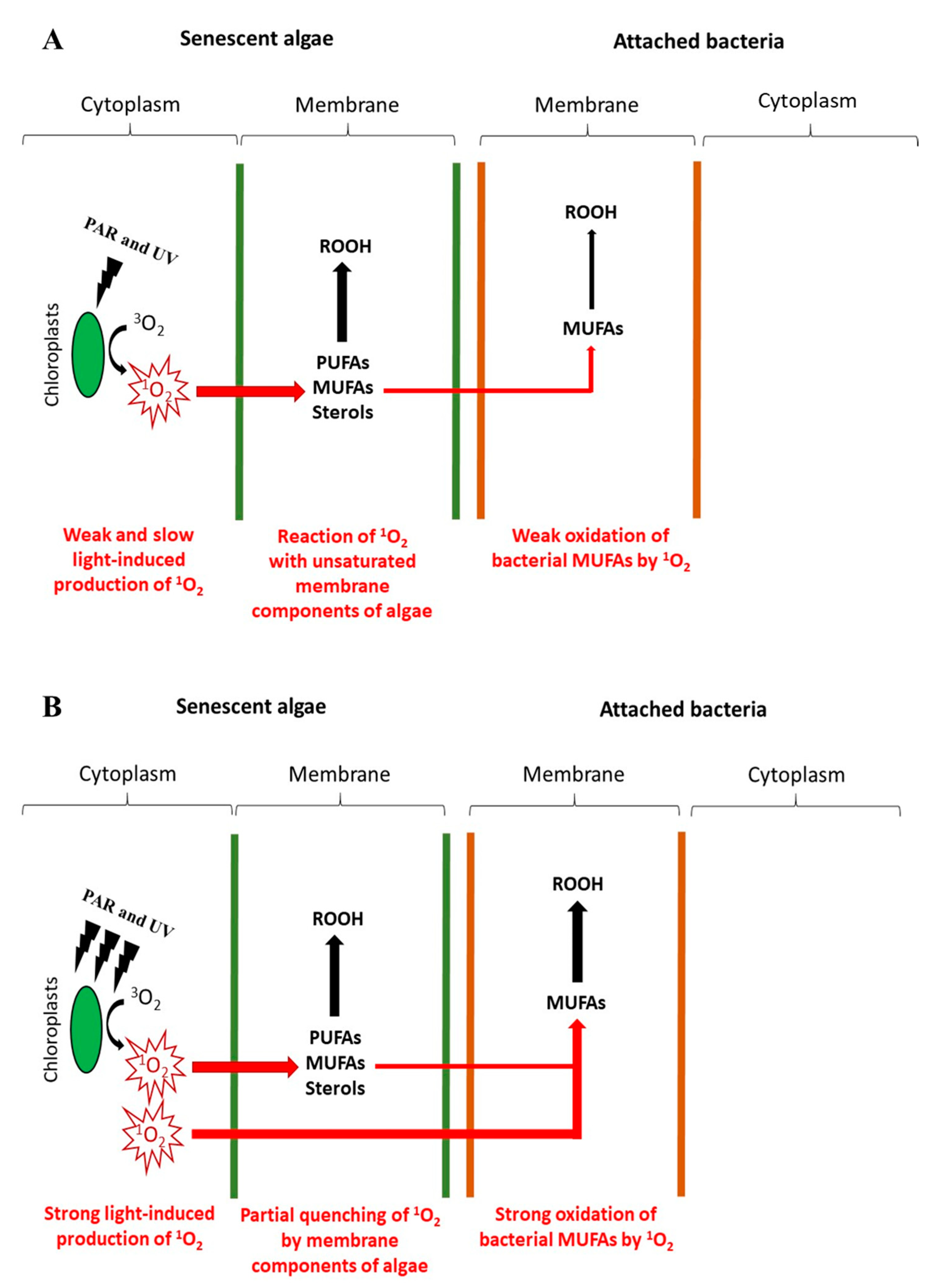 Microorganisms 11 01565 g004