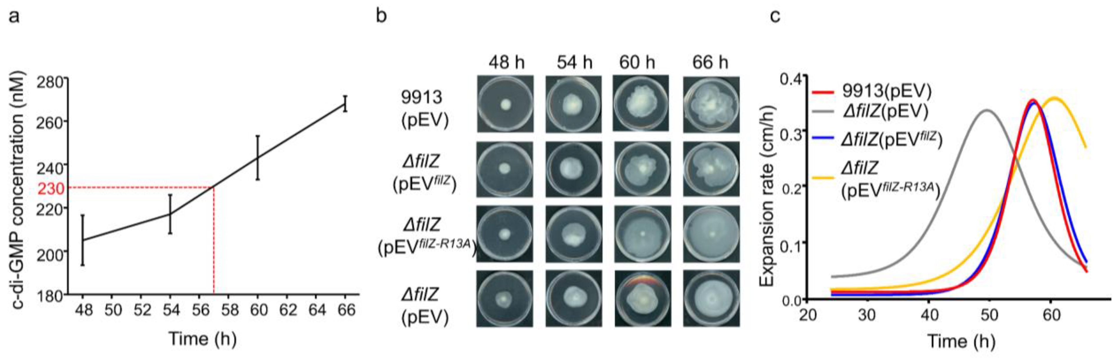 Microorganisms 11 01566 g005