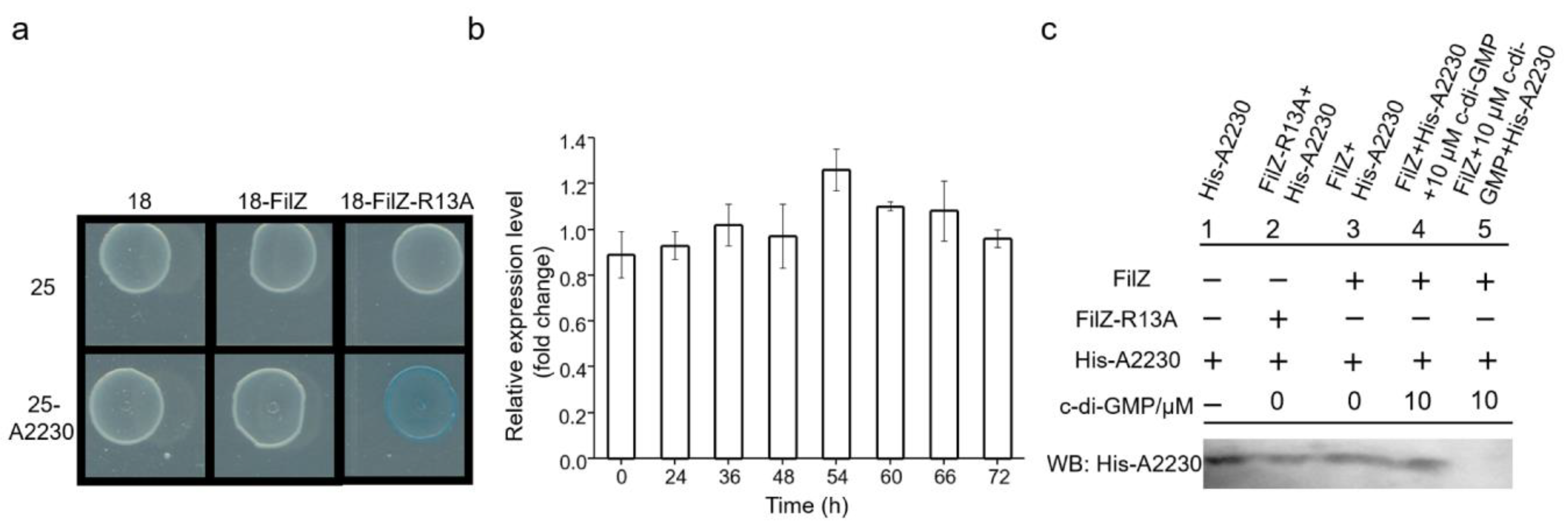 Microorganisms 11 01566 g006