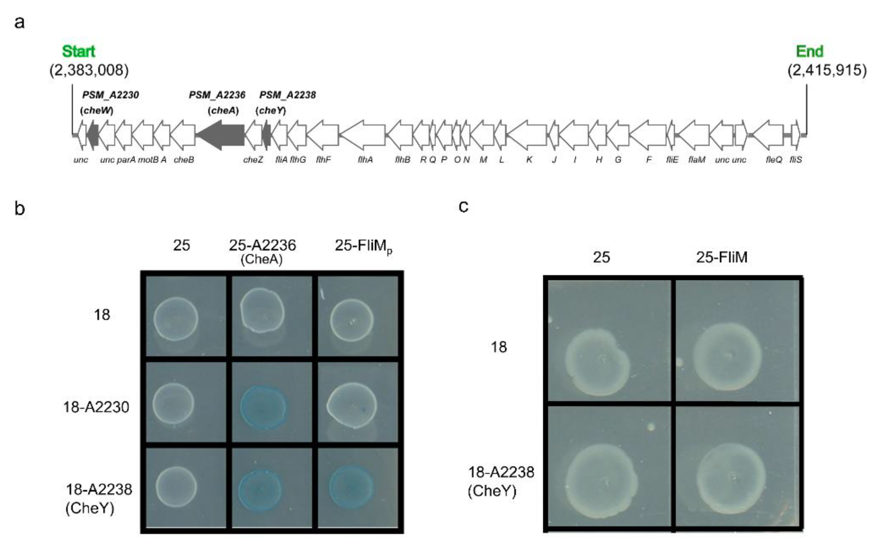Microorganisms 11 01566 g007