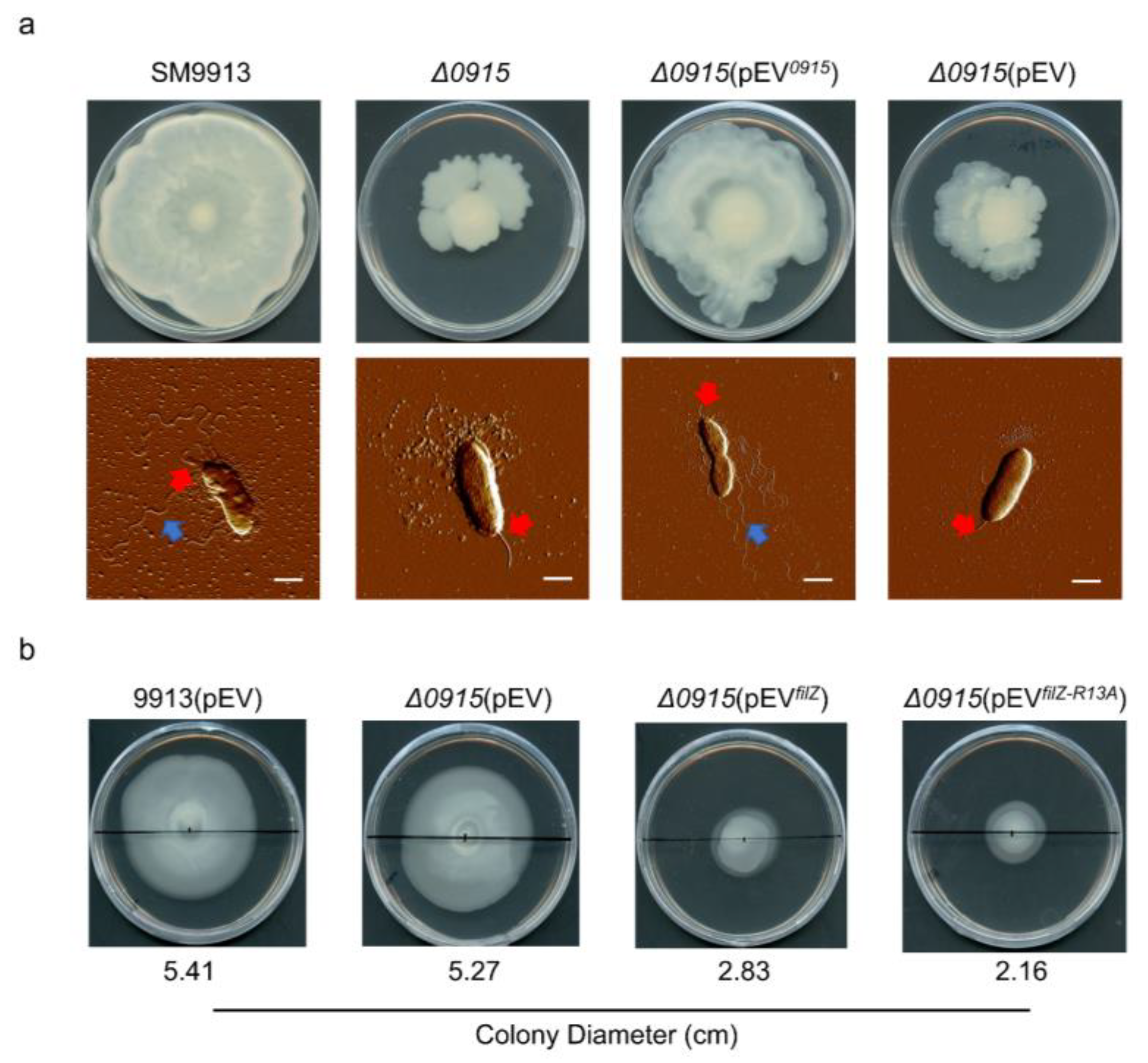 Microorganisms 11 01566 g008