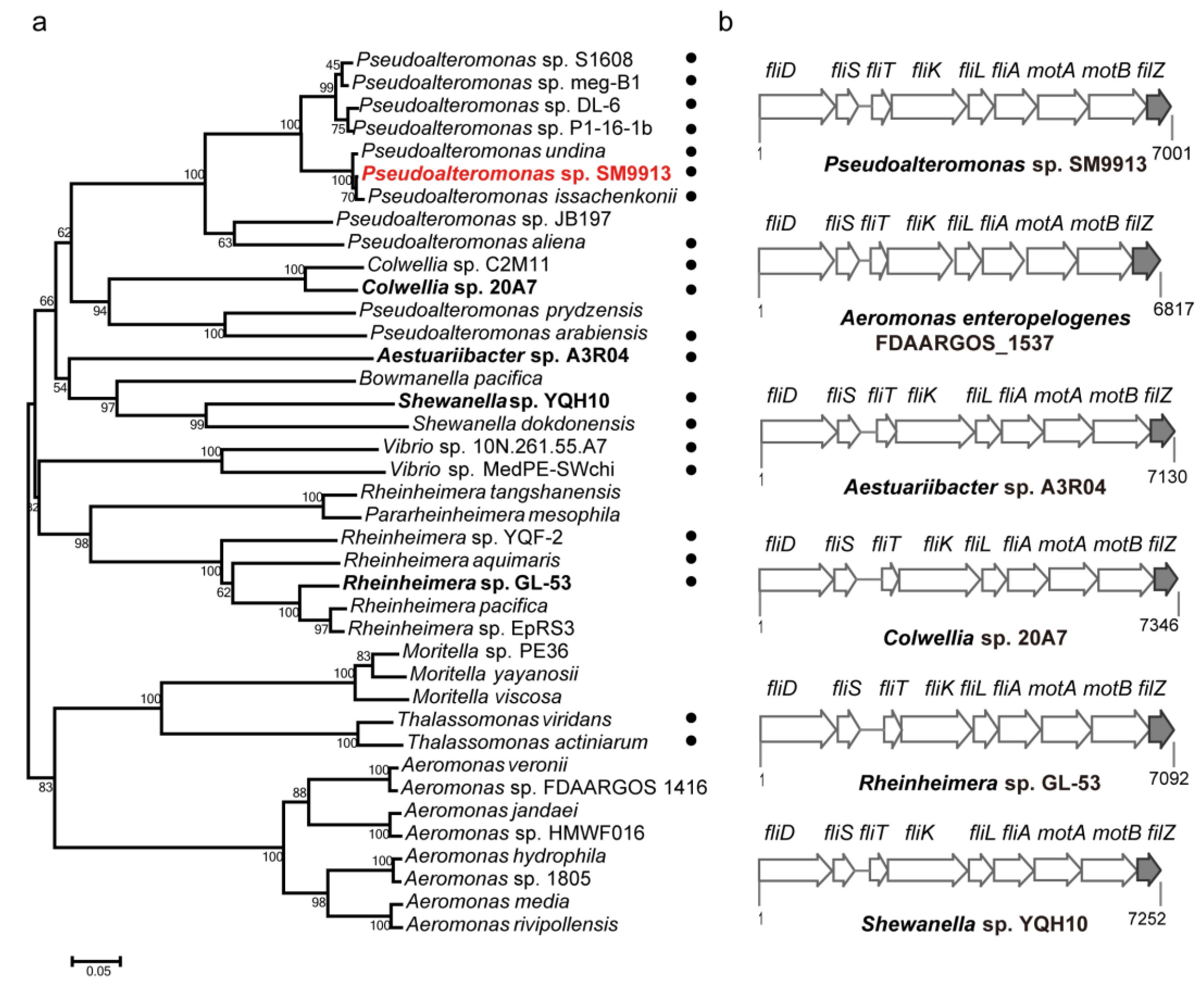 Microorganisms 11 01566 g009