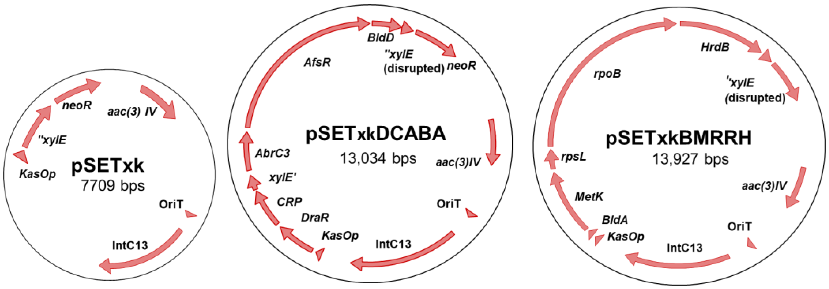 Microorganisms 11 01585 g001 Microorganisms 11 01585 g001