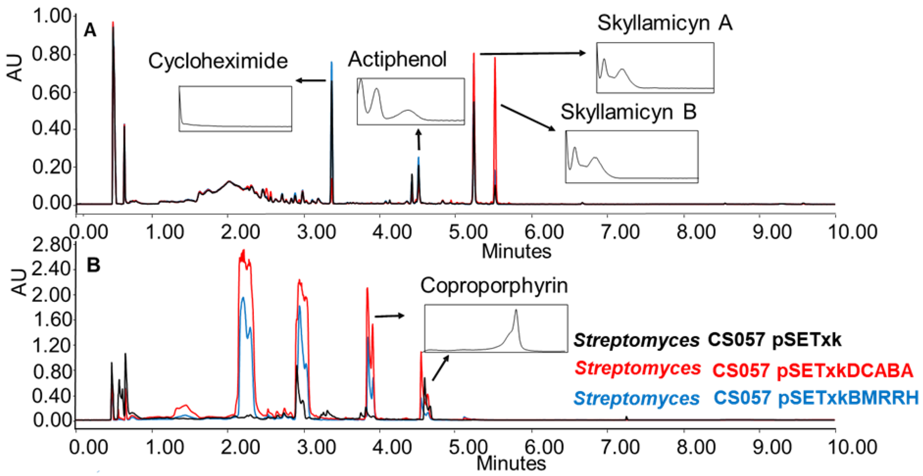Microorganisms 11 01585 g004 Microorganisms 11 01585 g004