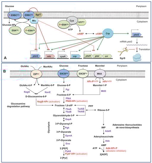 Microorganisms 11 01588 g002