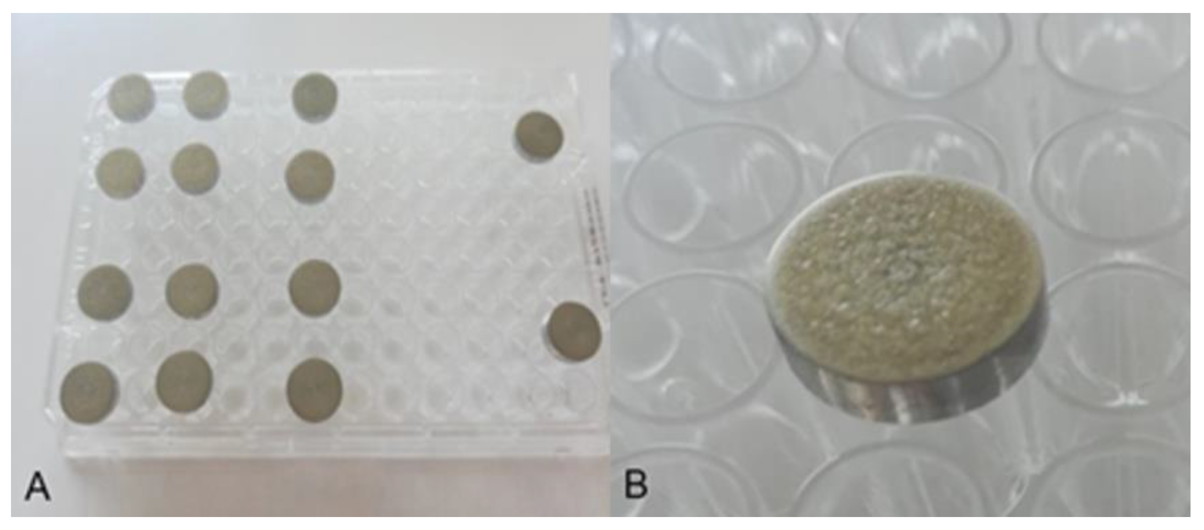 Microorganisms 11 01593 g001