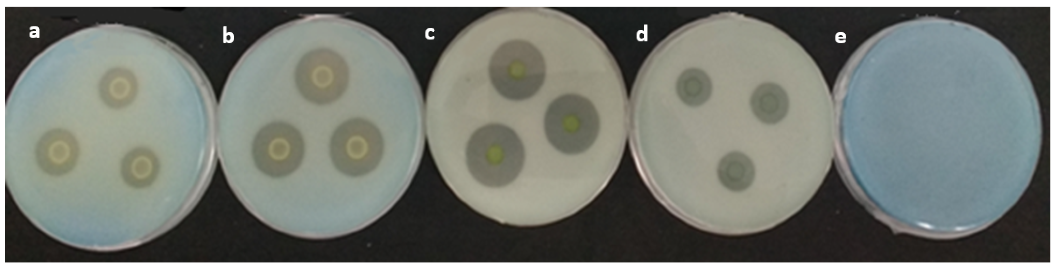 Microorganisms 11 01596 g001