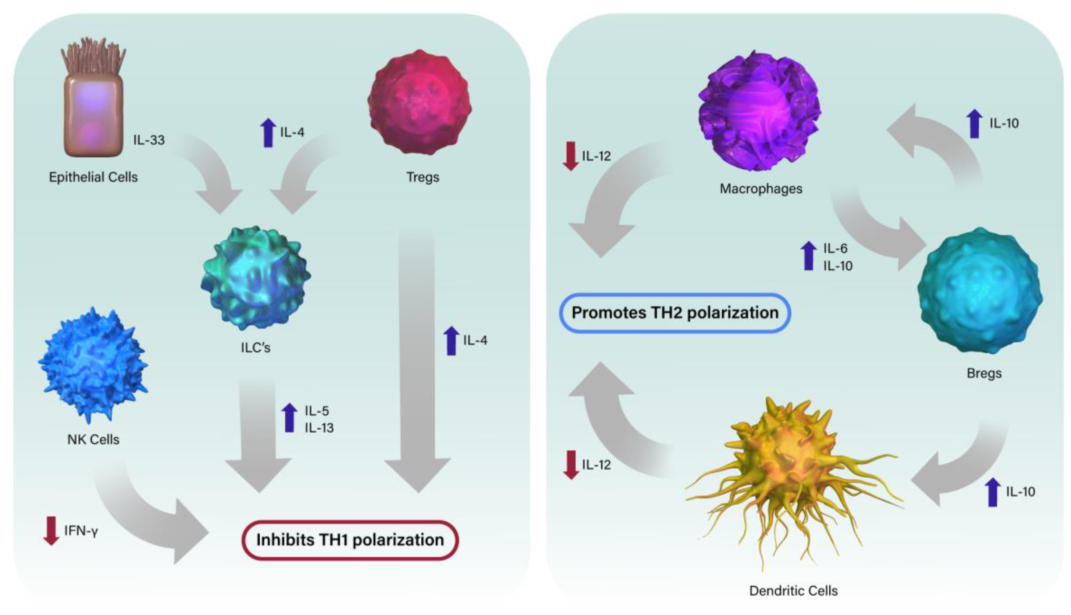 Microorganisms 11 01597 g001