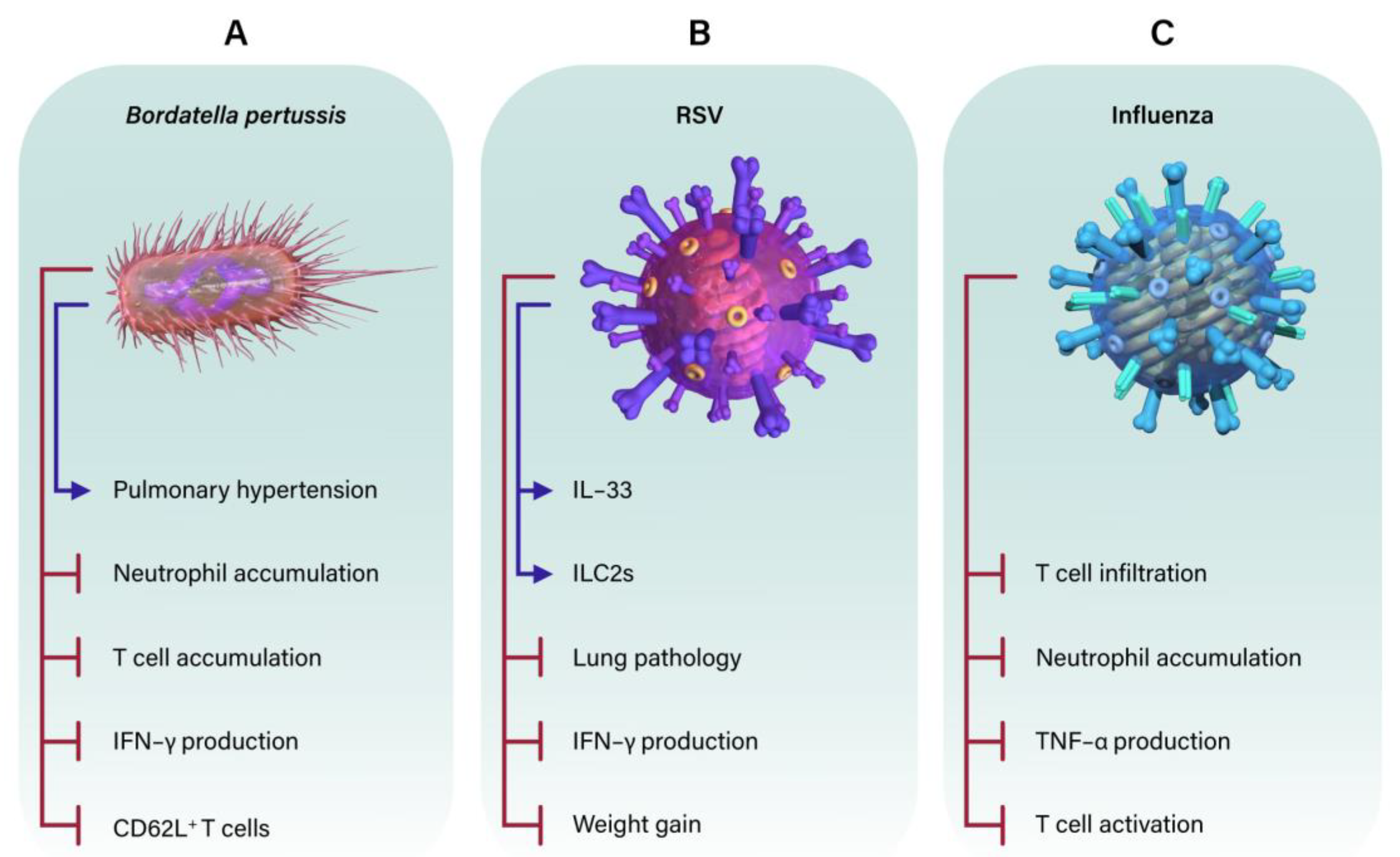 Microorganisms 11 01597 g003