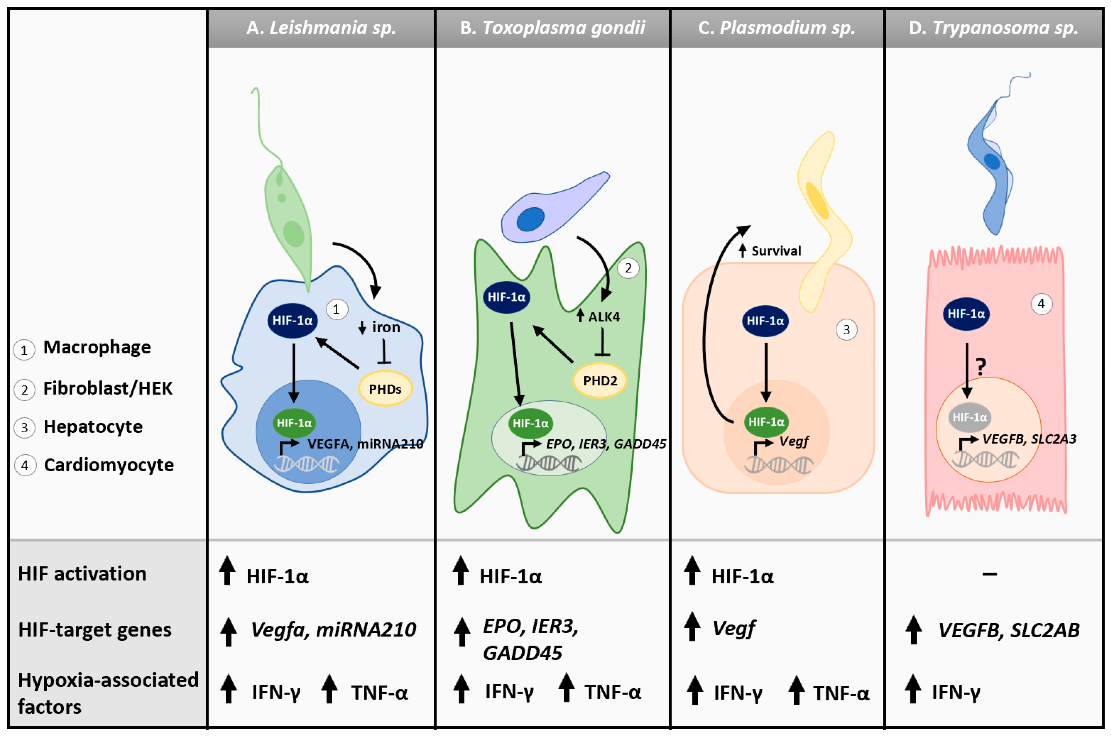 Microorganisms 11 01598 g002