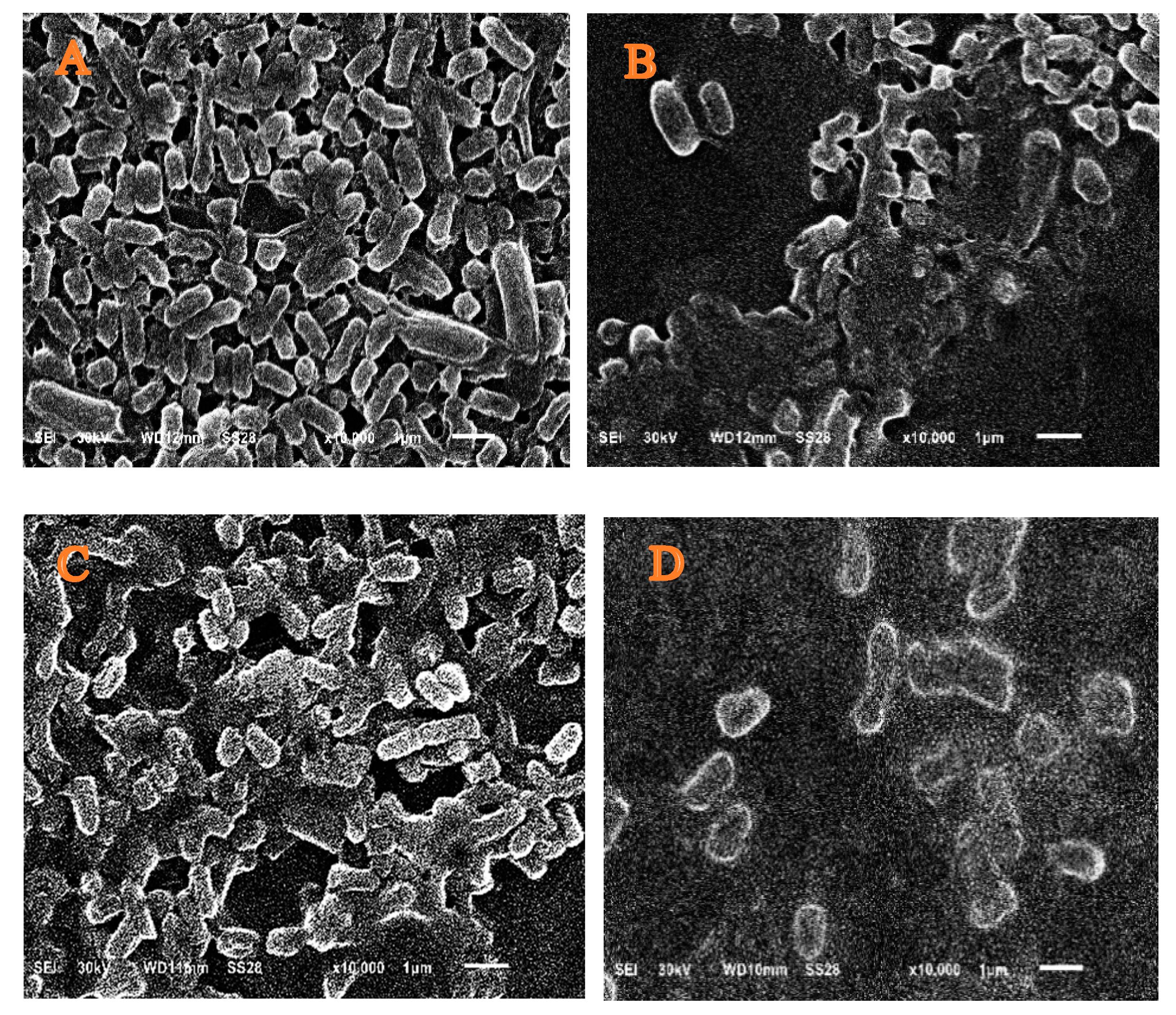 Microorganisms 11 01601 g003