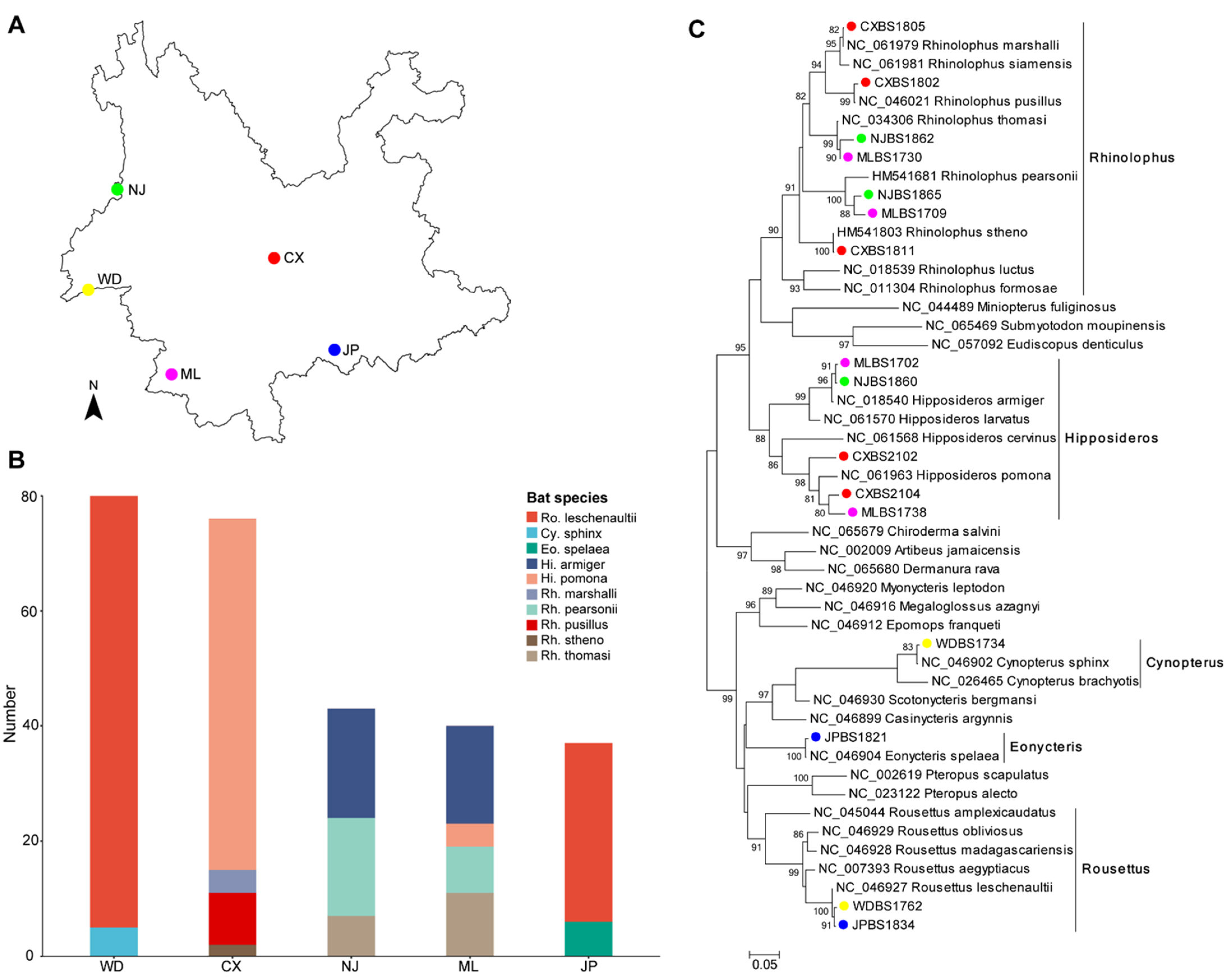 Microorganisms 11 01619 g001