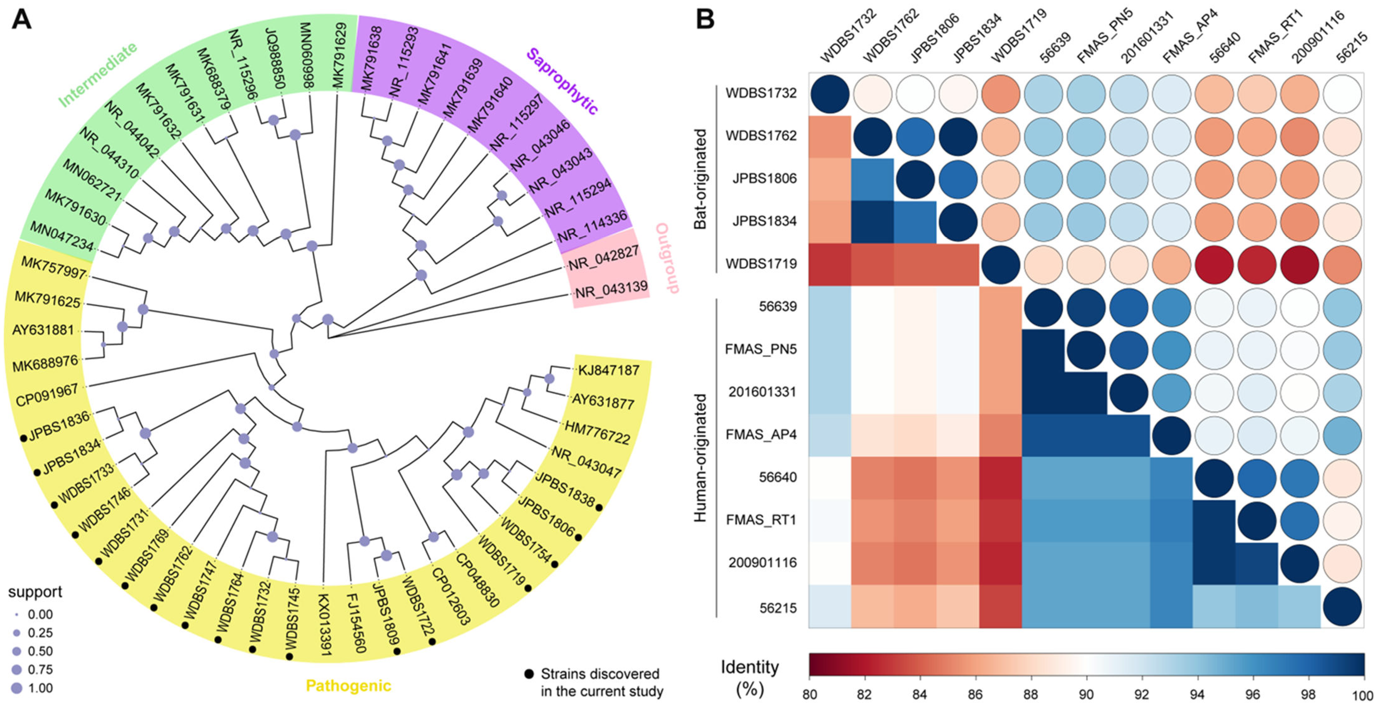Microorganisms 11 01619 g002