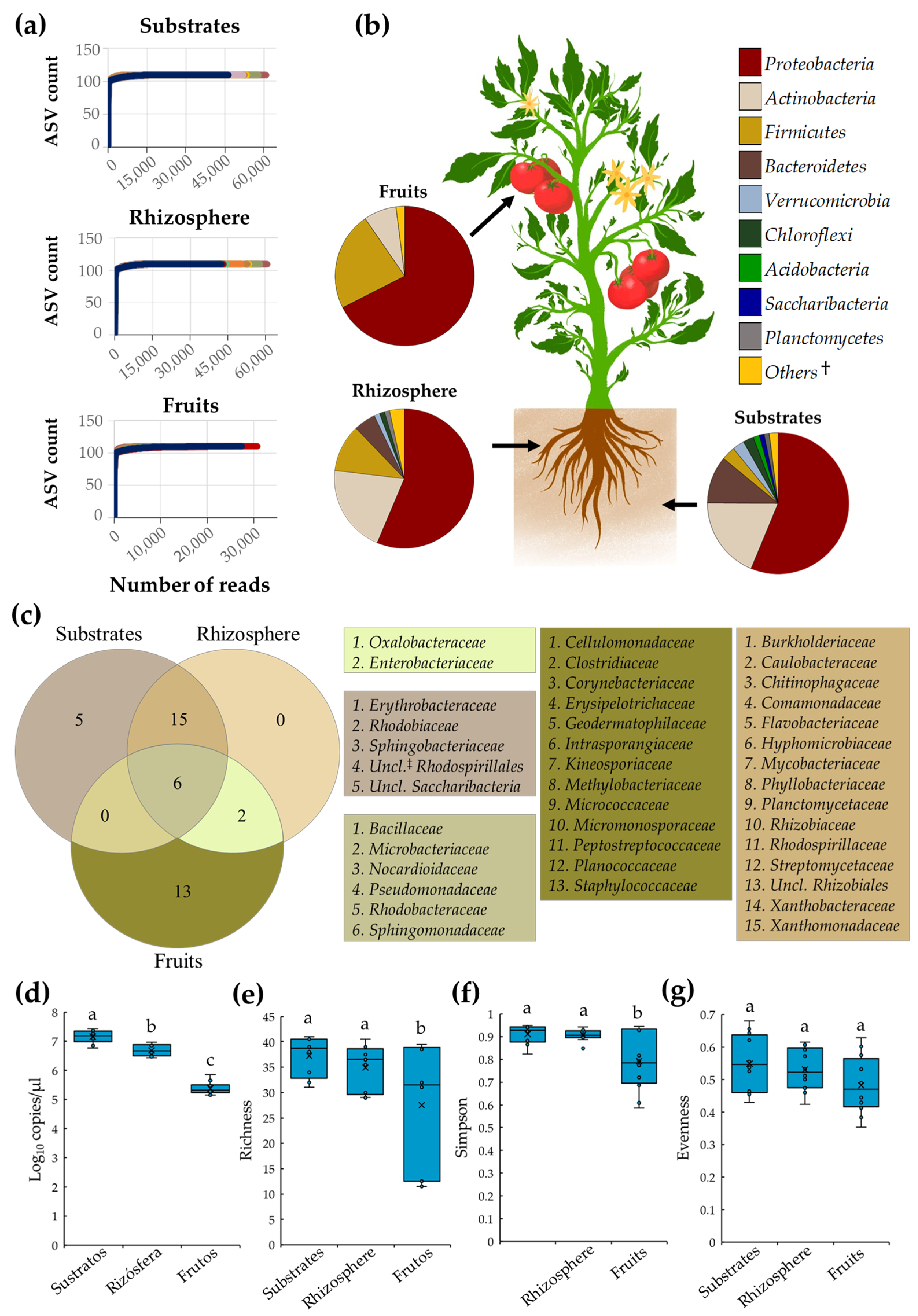 Microorganisms 11 01633 g001
