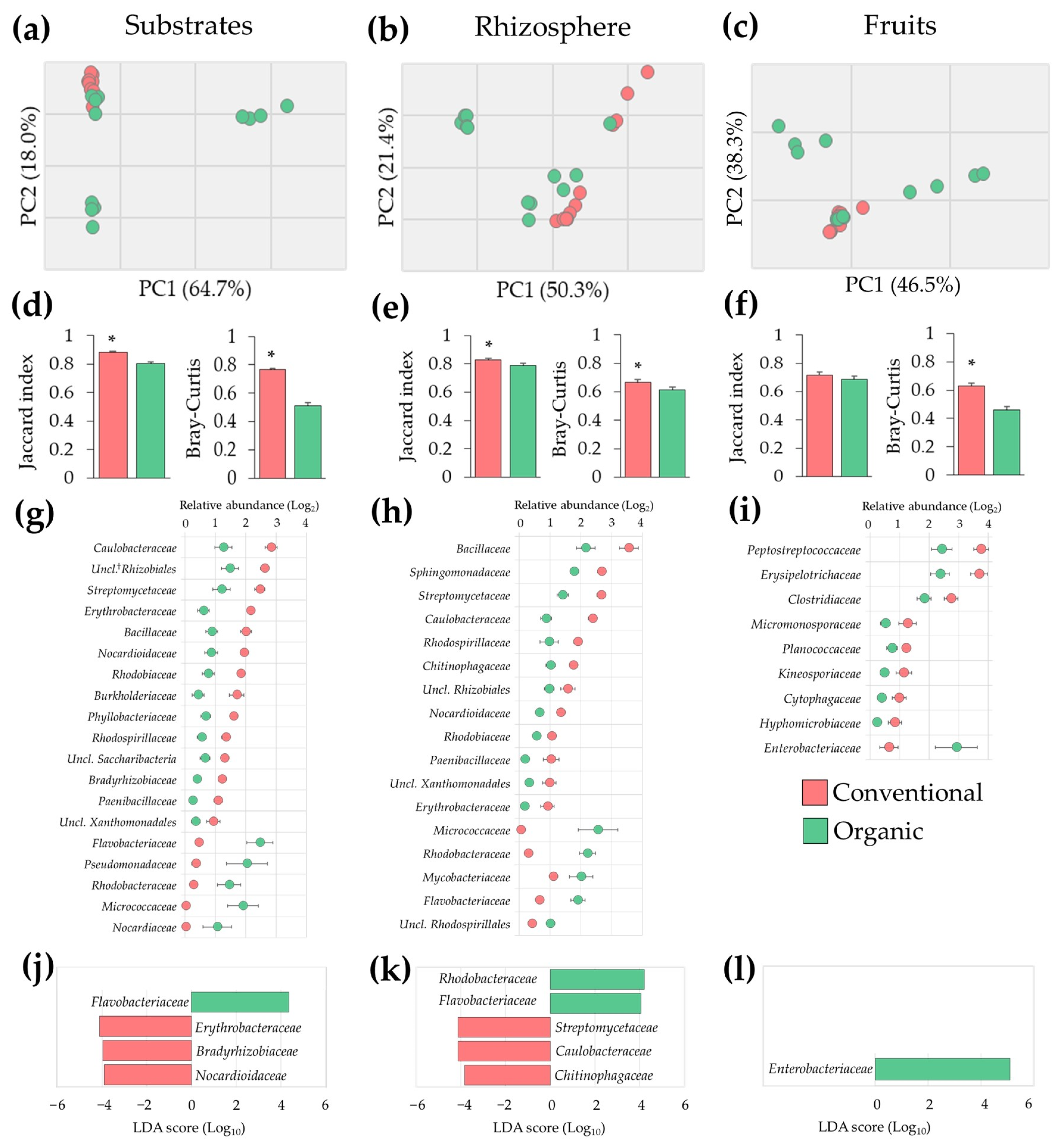 Microorganisms 11 01633 g003