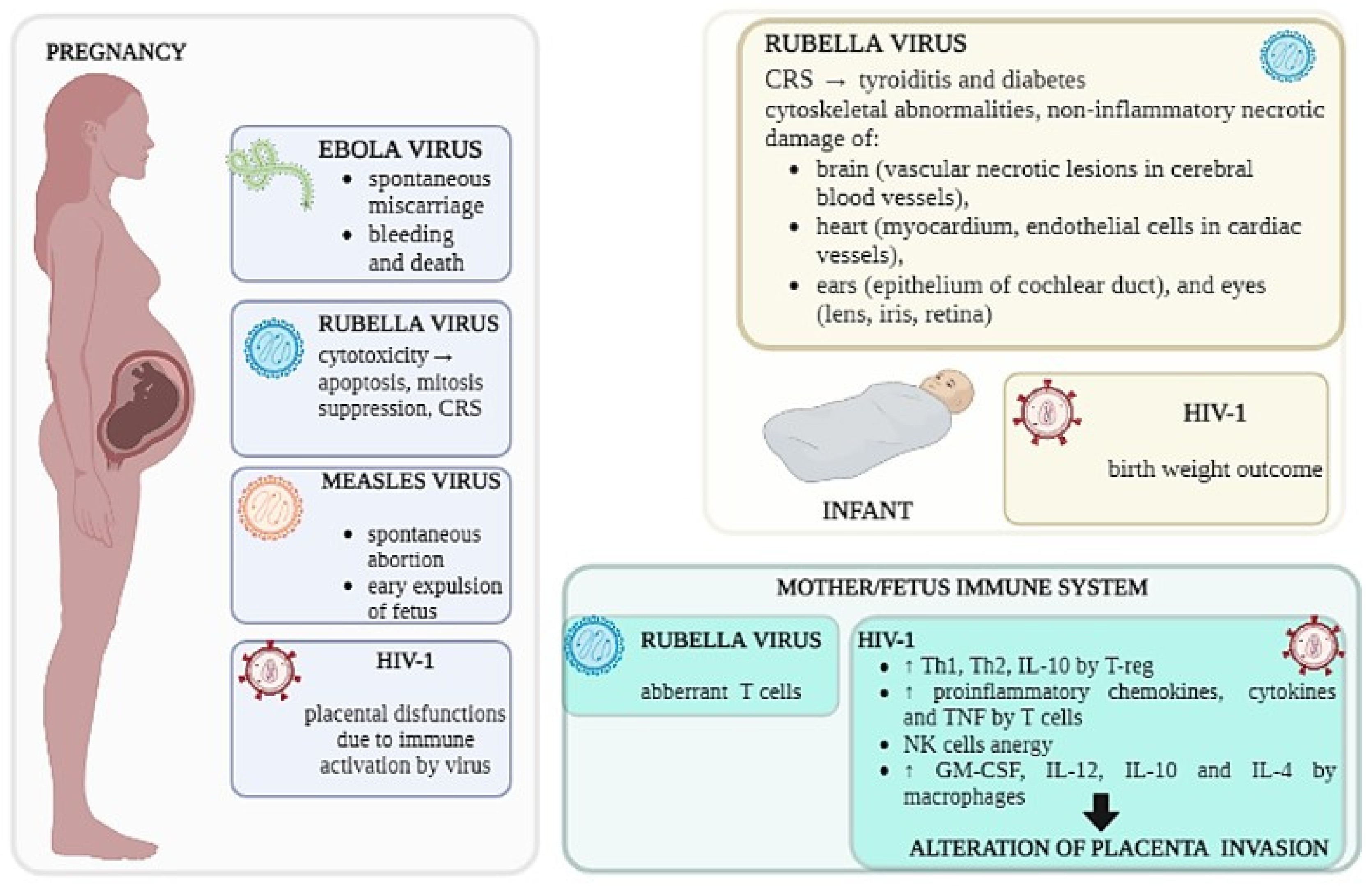 Microorganisms 11 01637 g003