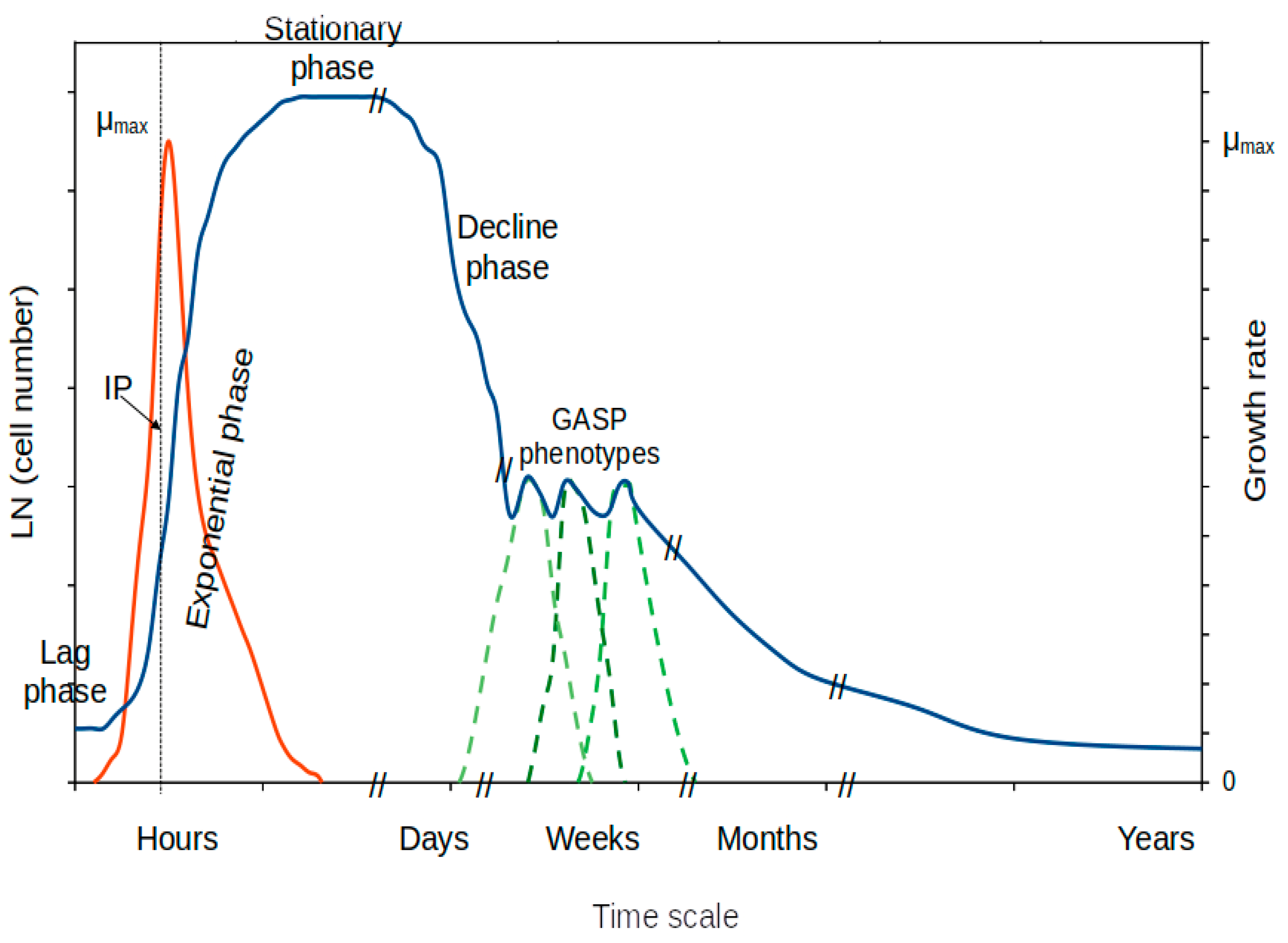 Microorganisms 11 01641 g001