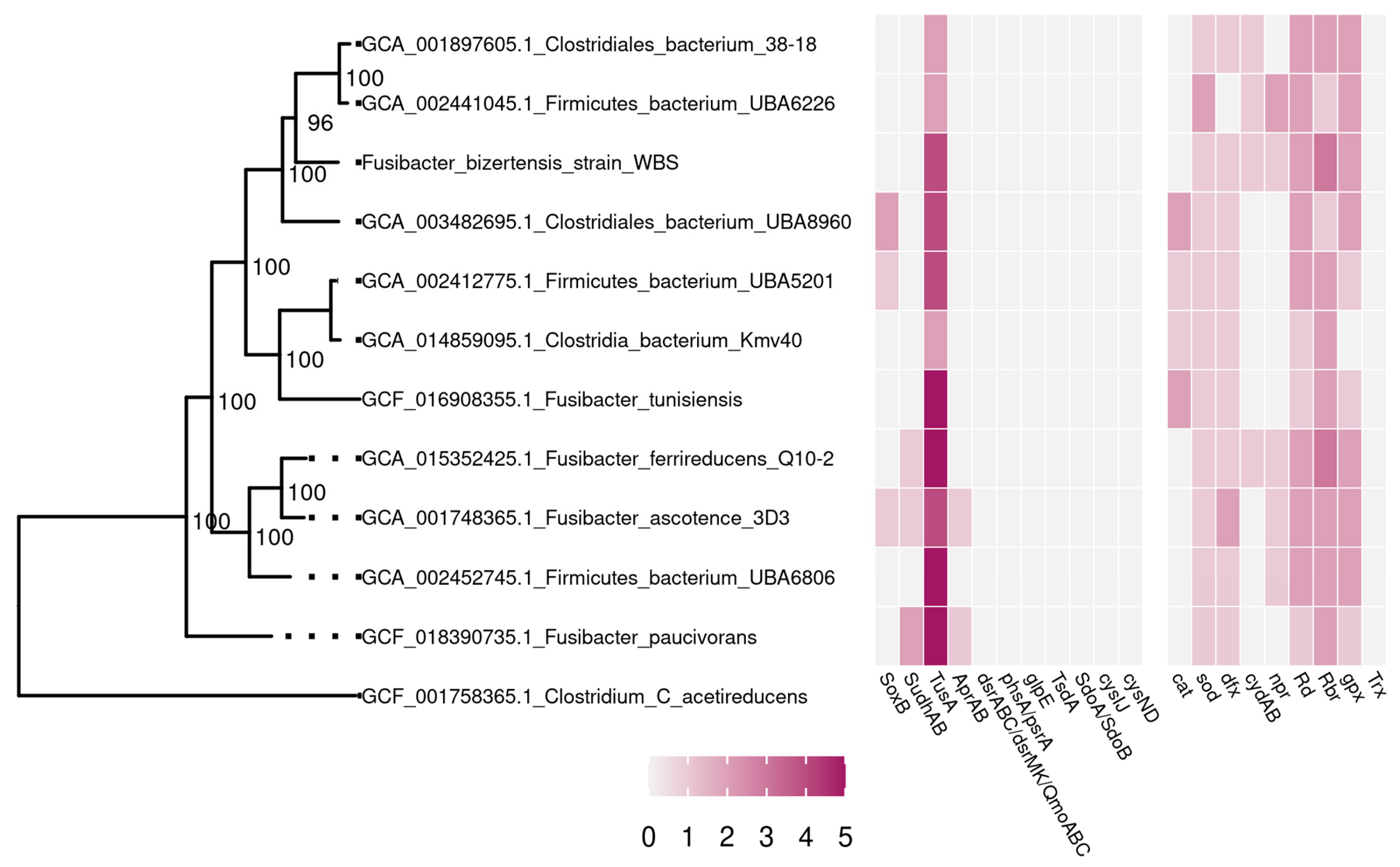 Microorganisms 11 01642 g001