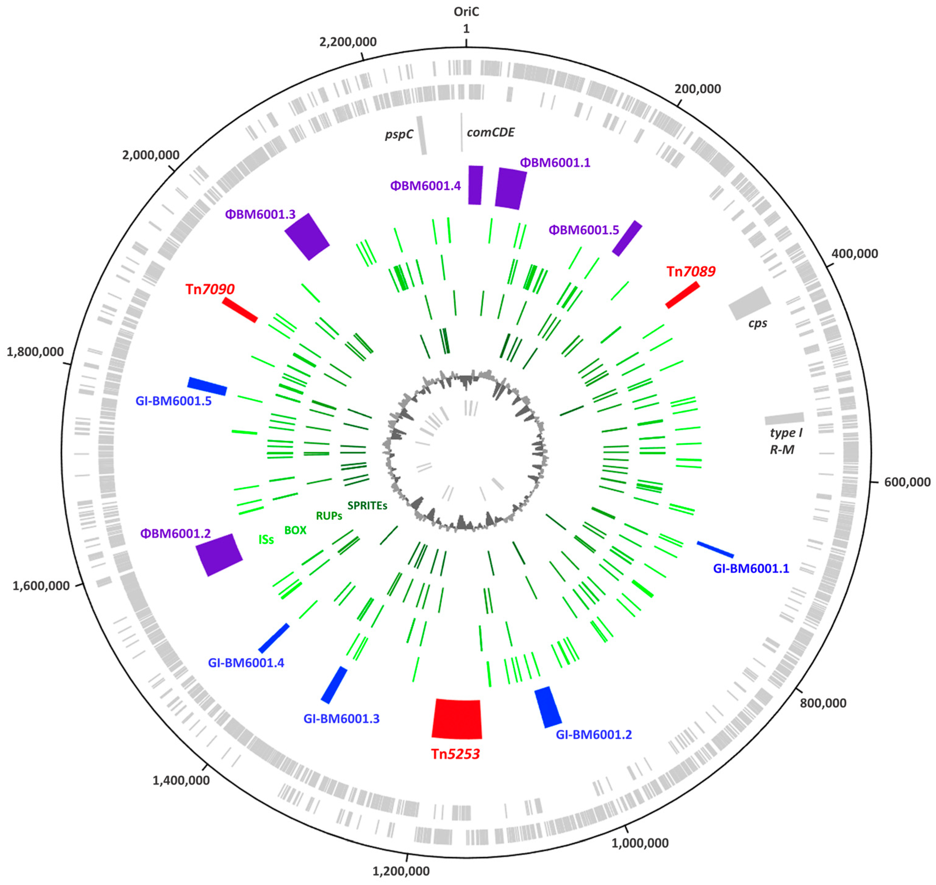 Microorganisms 11 01646 g001
