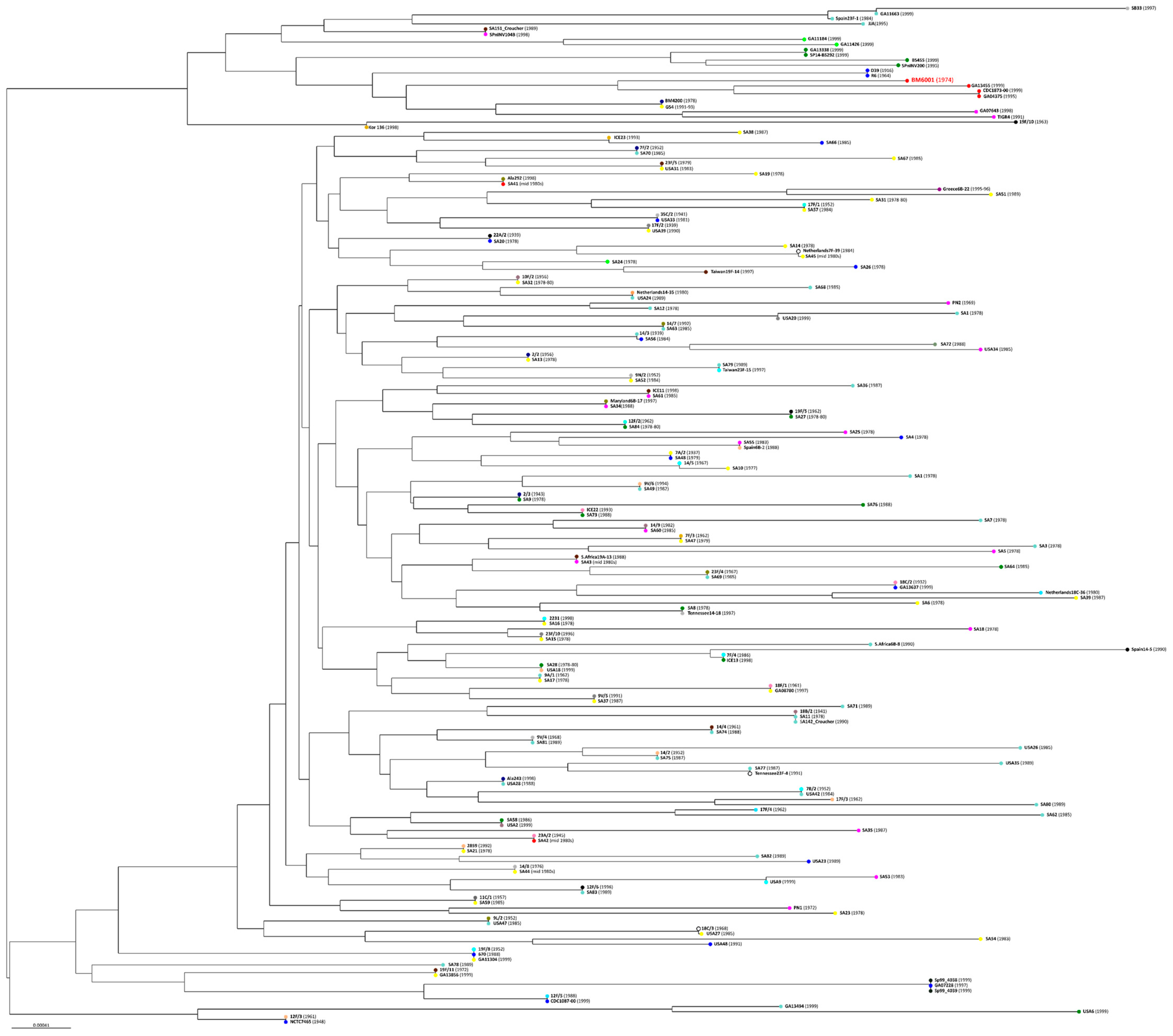 Microorganisms 11 01646 g007