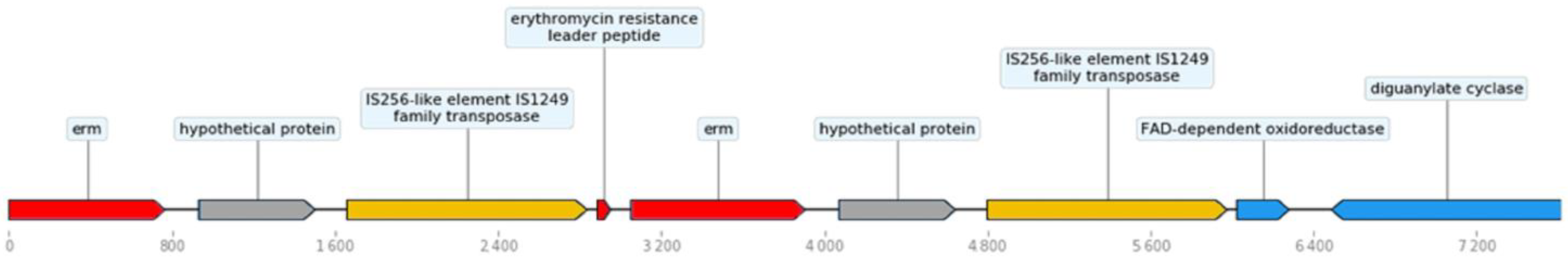 Microorganisms 11 01649 g004 Microorganisms 11 01649 g004